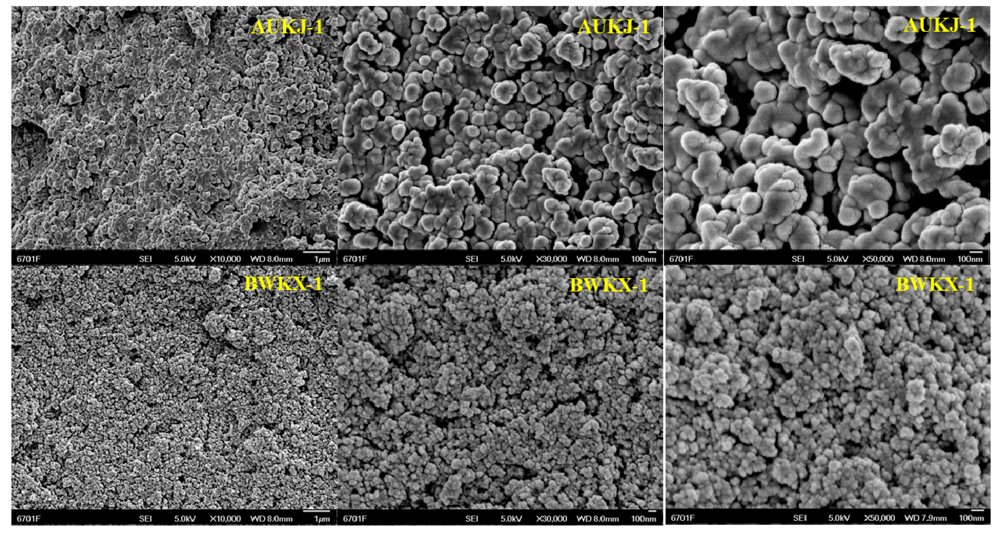 Molecules 25 03511 g004