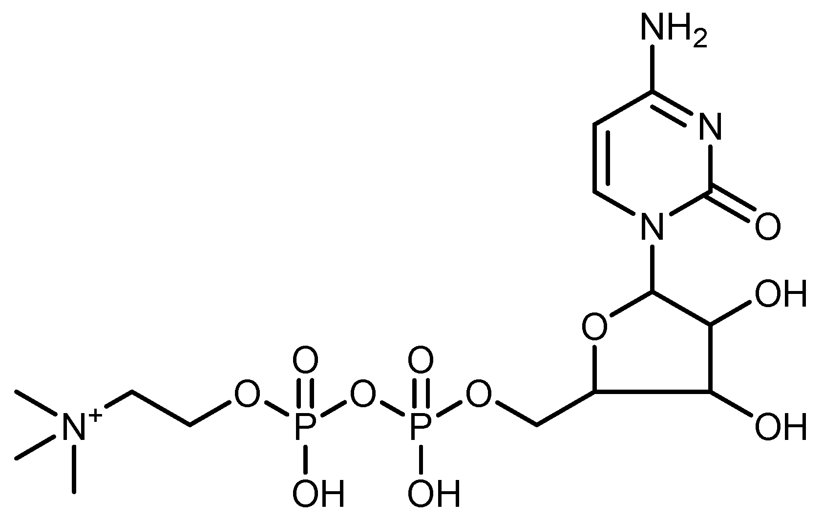 Molecules 25 03512 g001