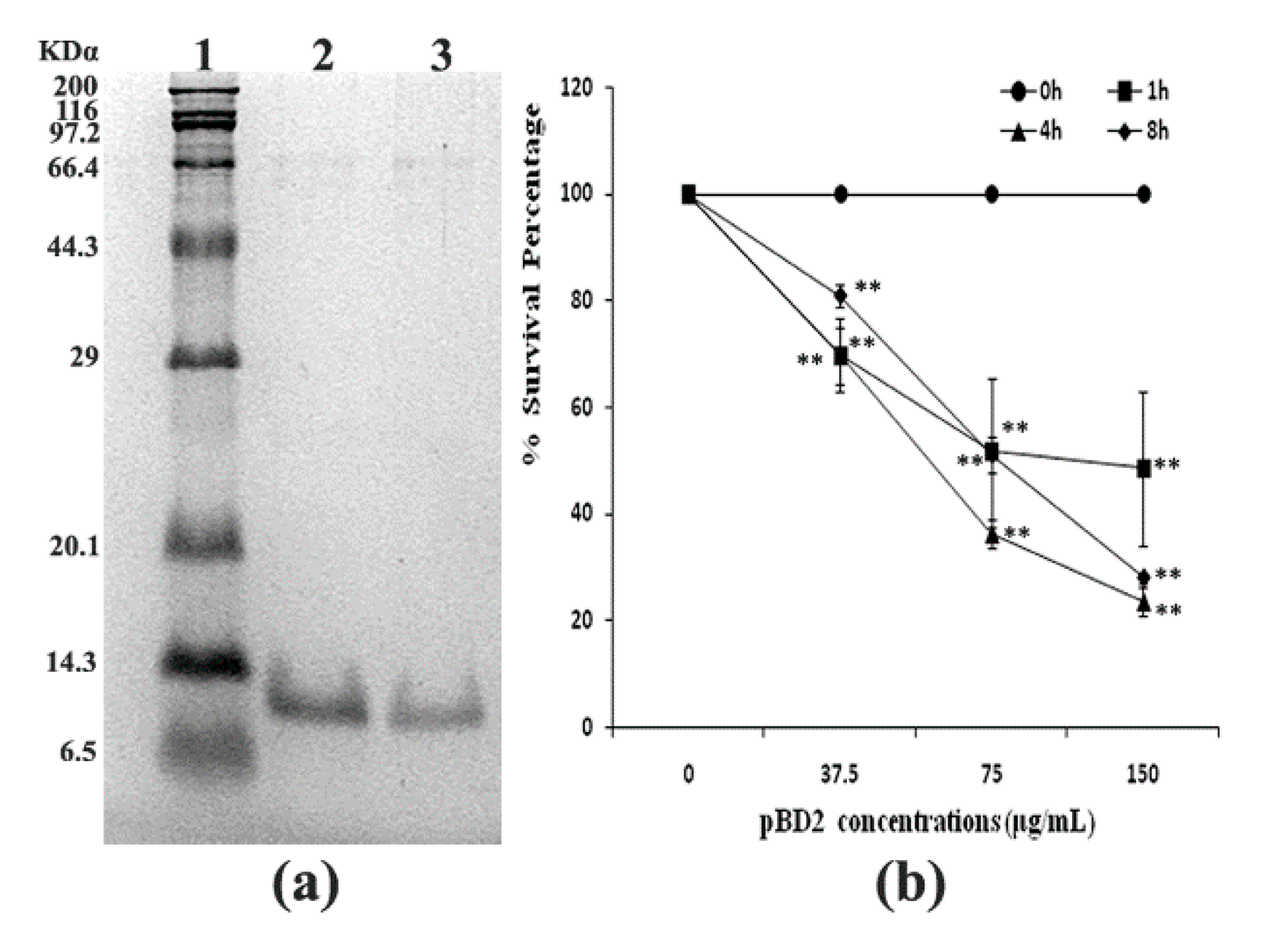 Molecules 25 03513 g001