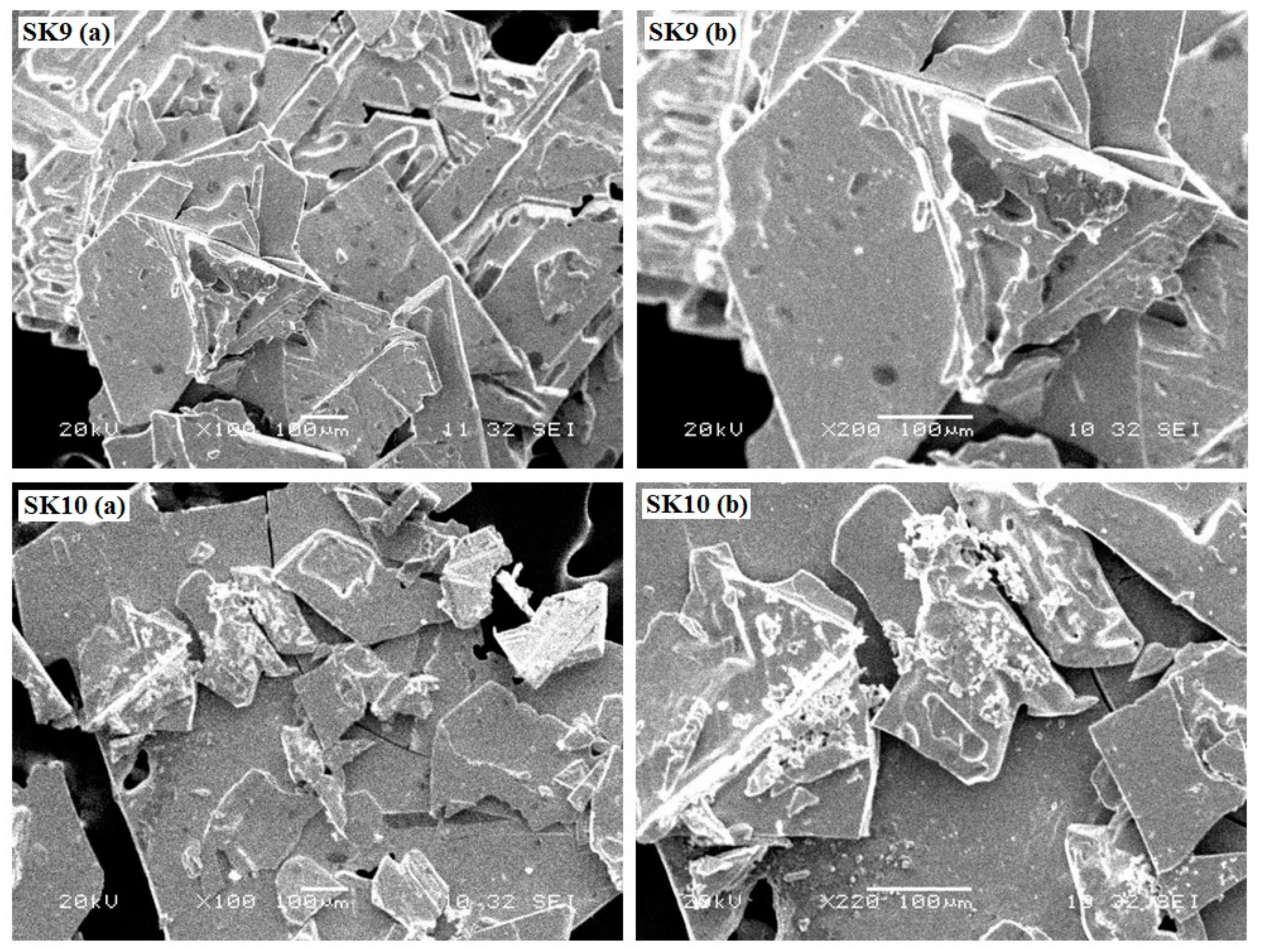 Molecules 25 03520 g002