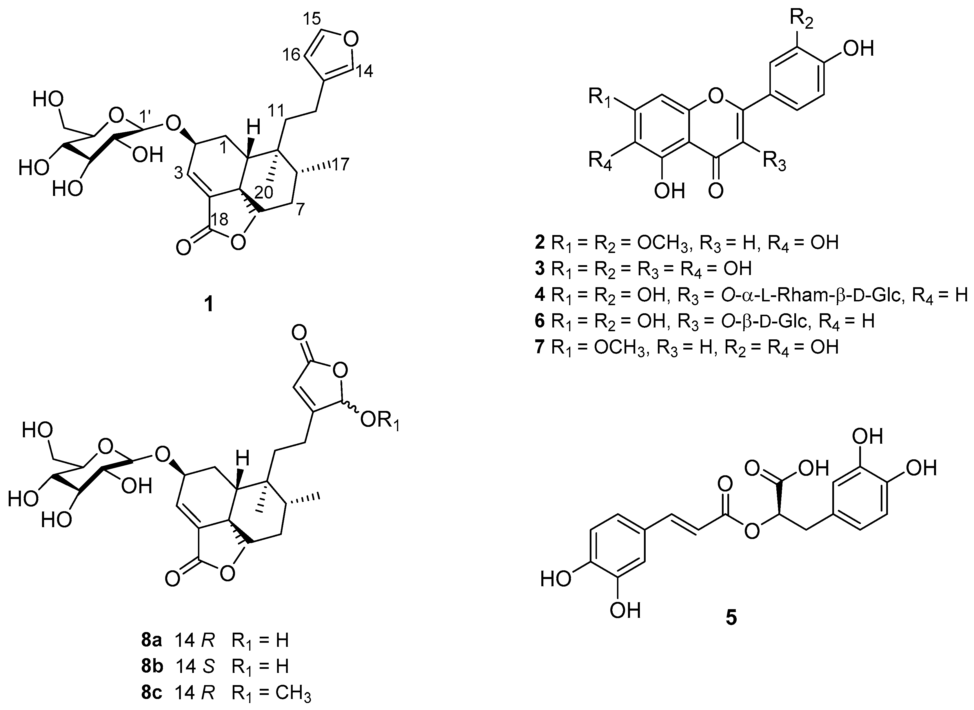 Molecules 25 03530 g001