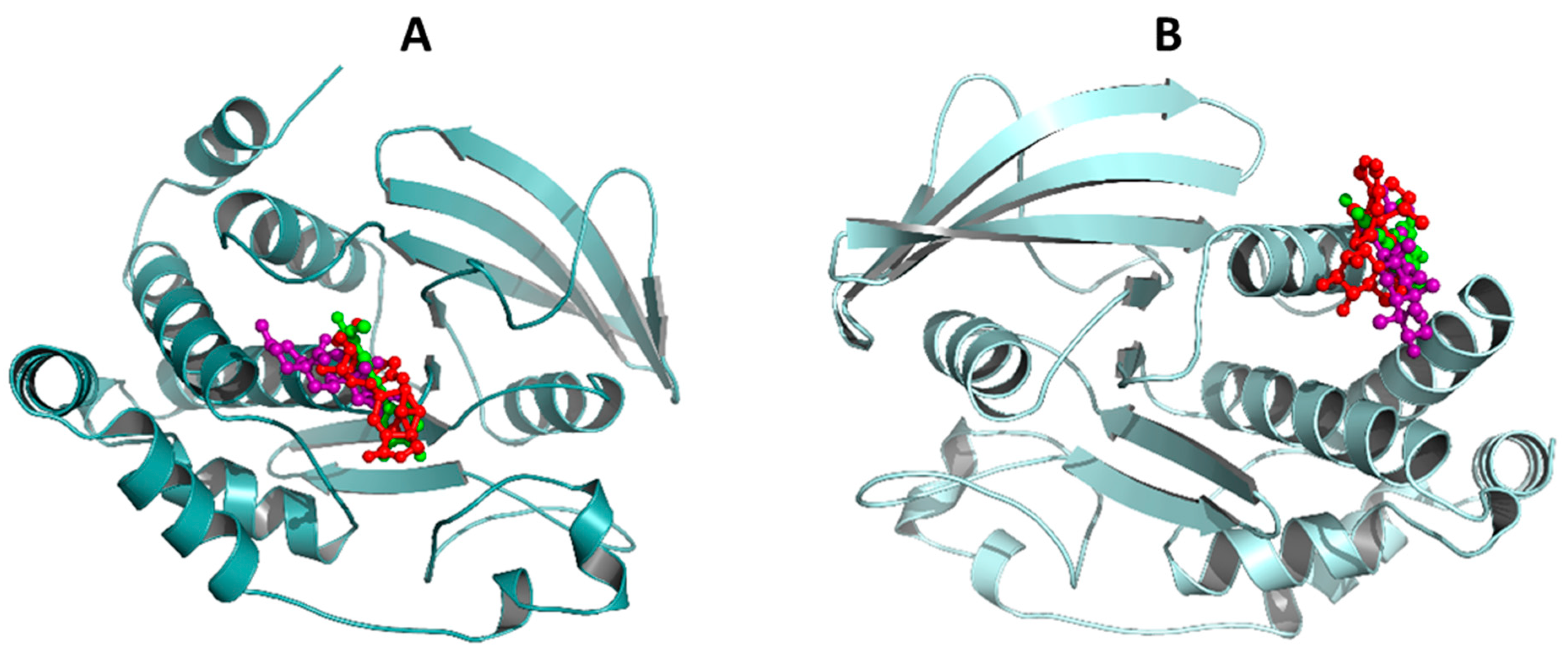 Molecules 25 03530 g002