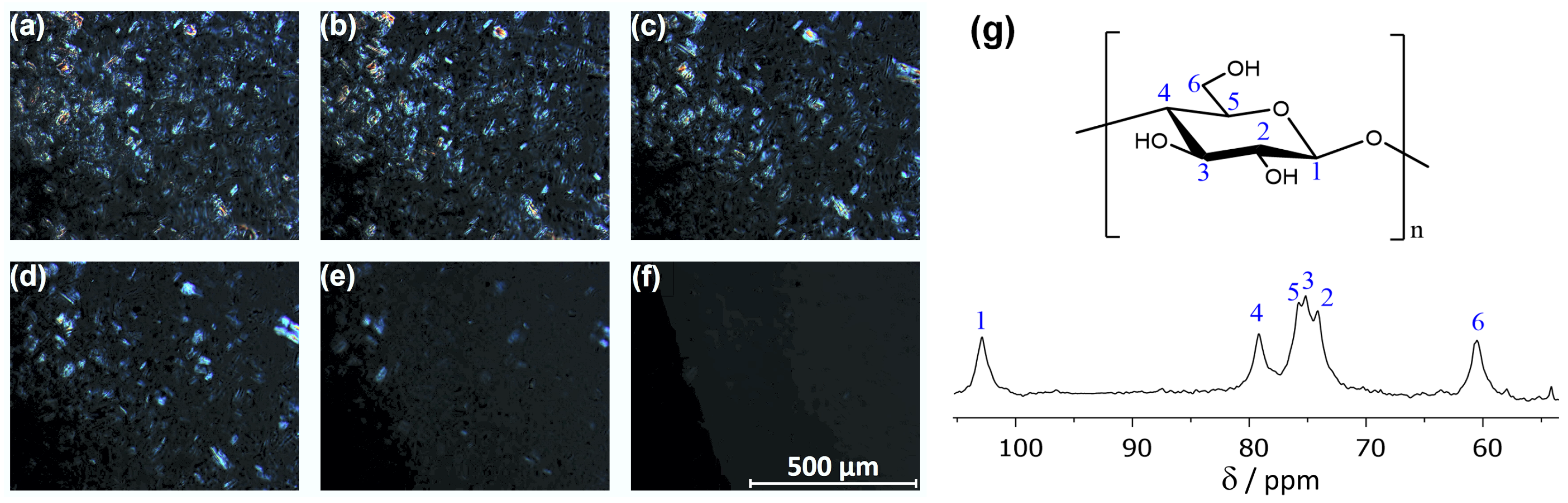 Molecules 25 03539 g005
