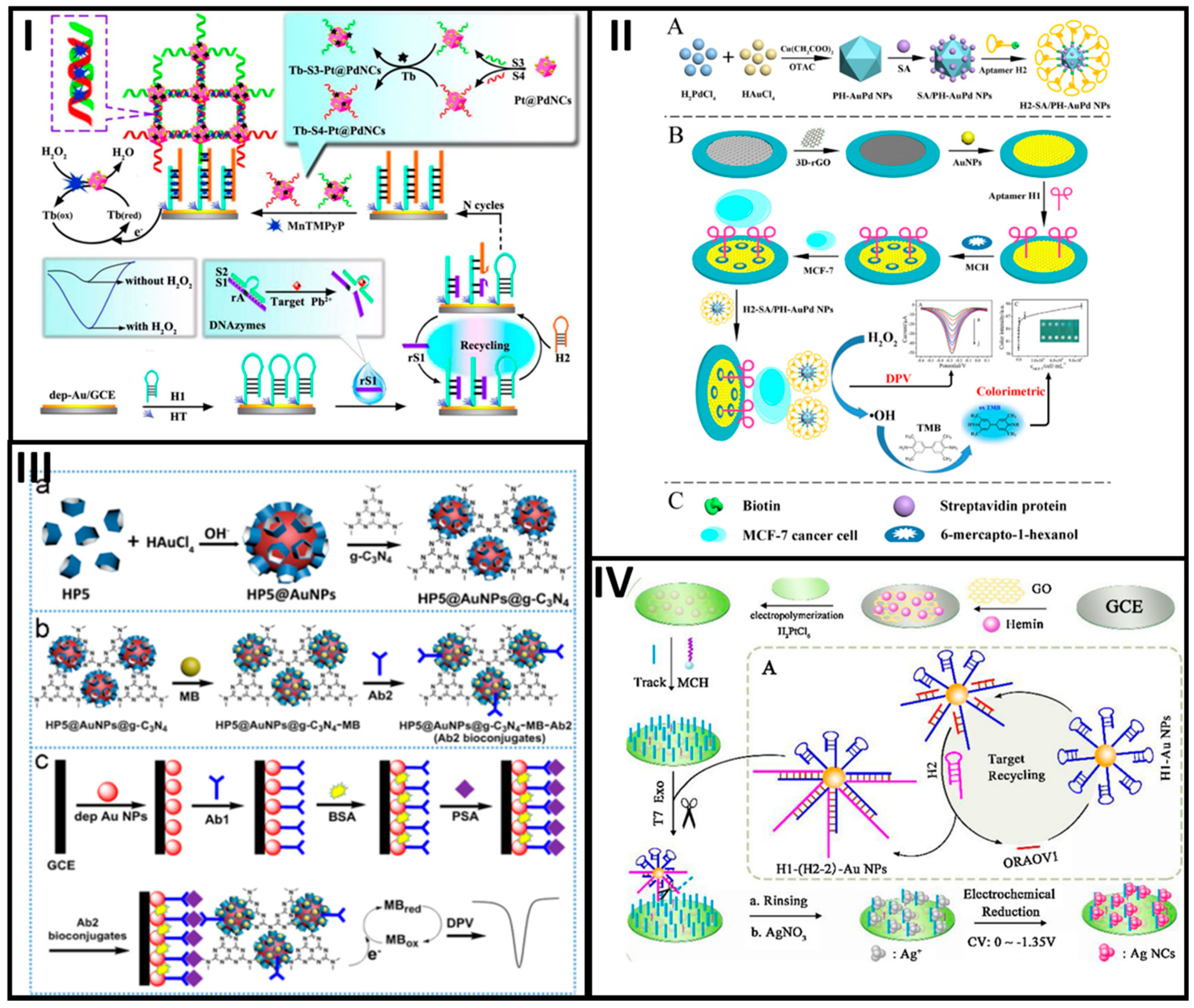 Molecules 25 03542 g002