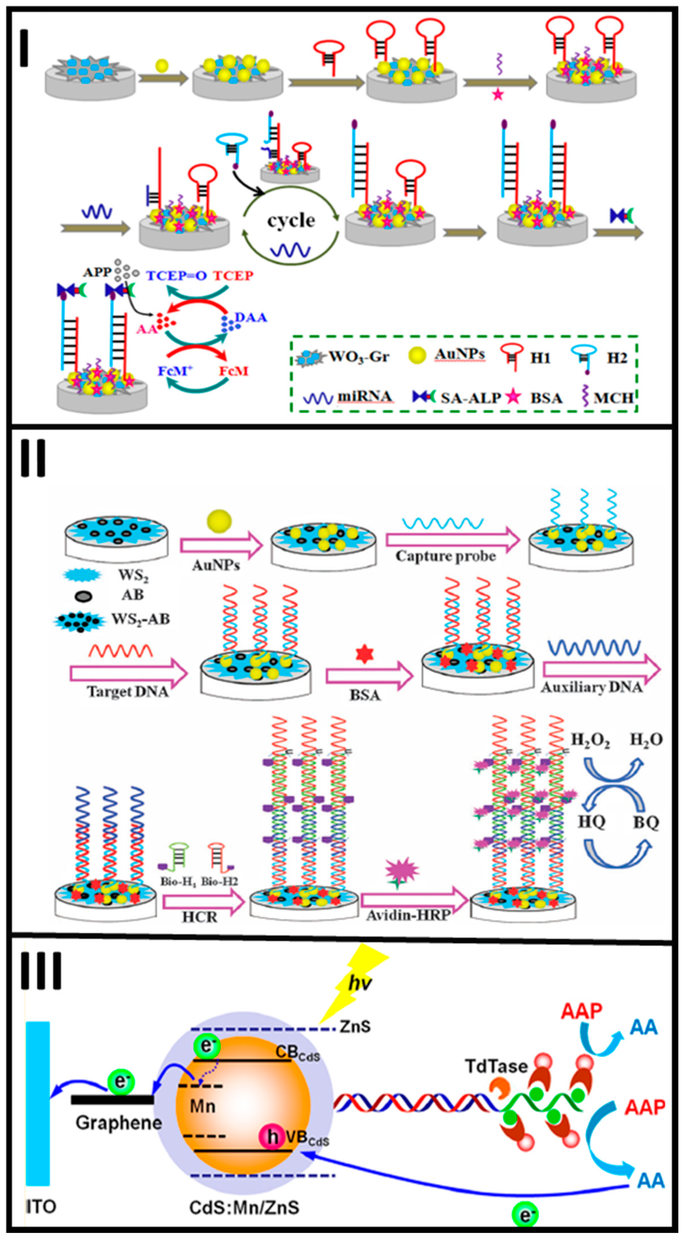Molecules 25 03542 g004