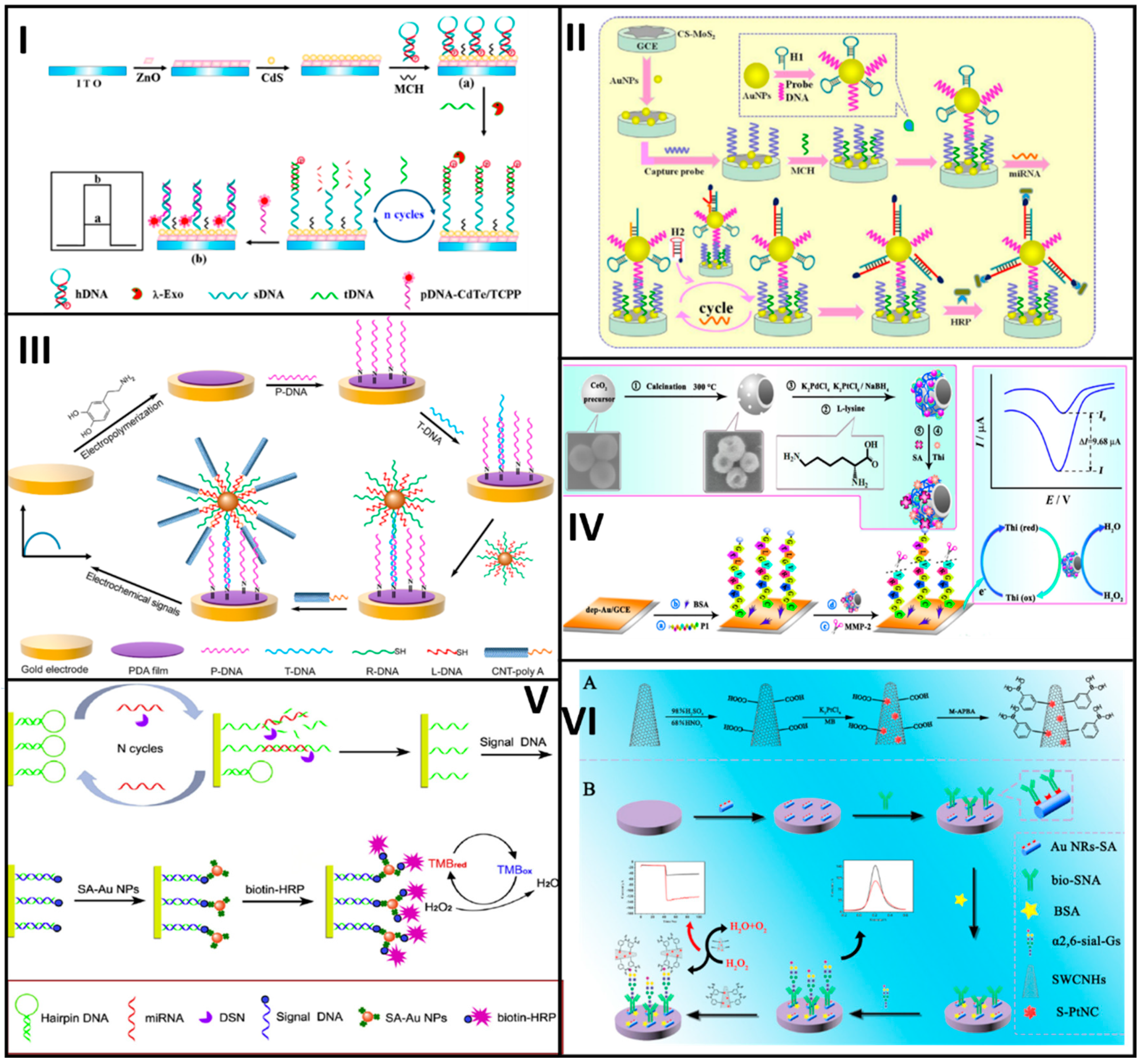 Molecules 25 03542 g005