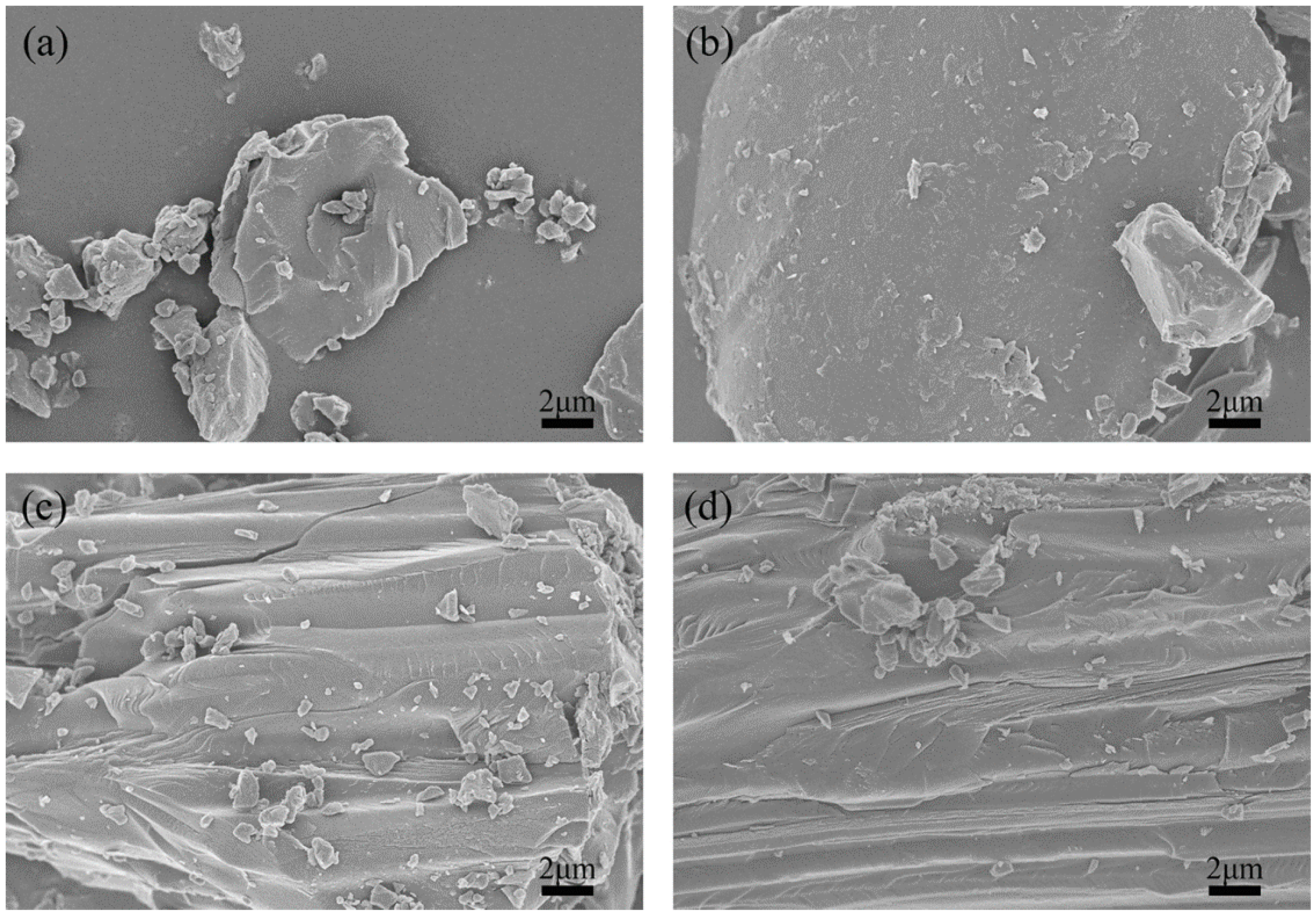 Molecules 25 03543 g005