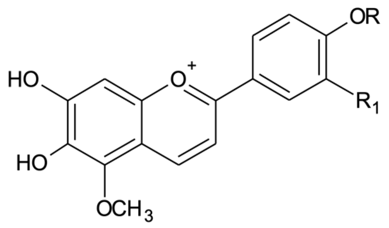 Molecules 25 03547 g001