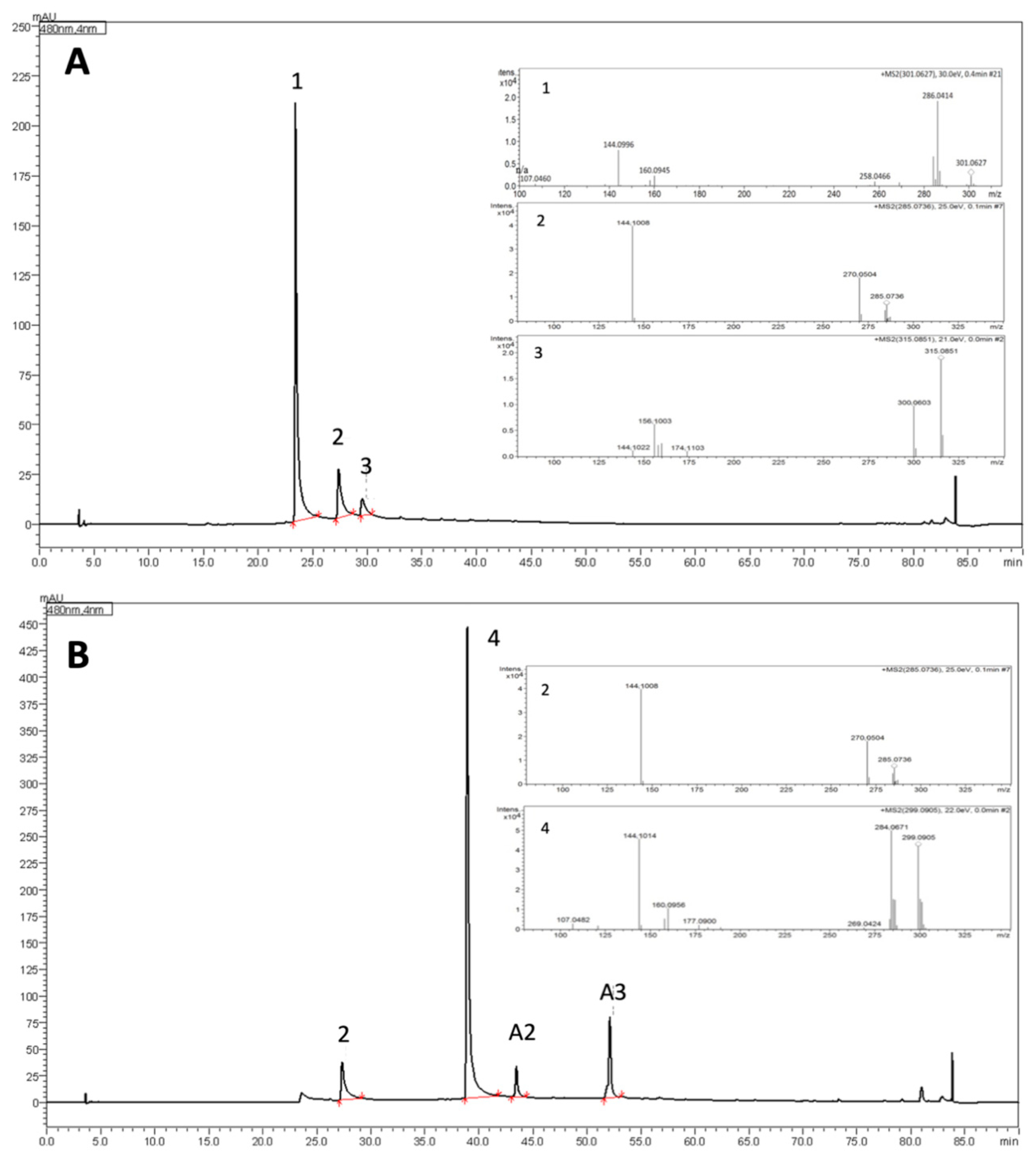 Molecules 25 03547 g002