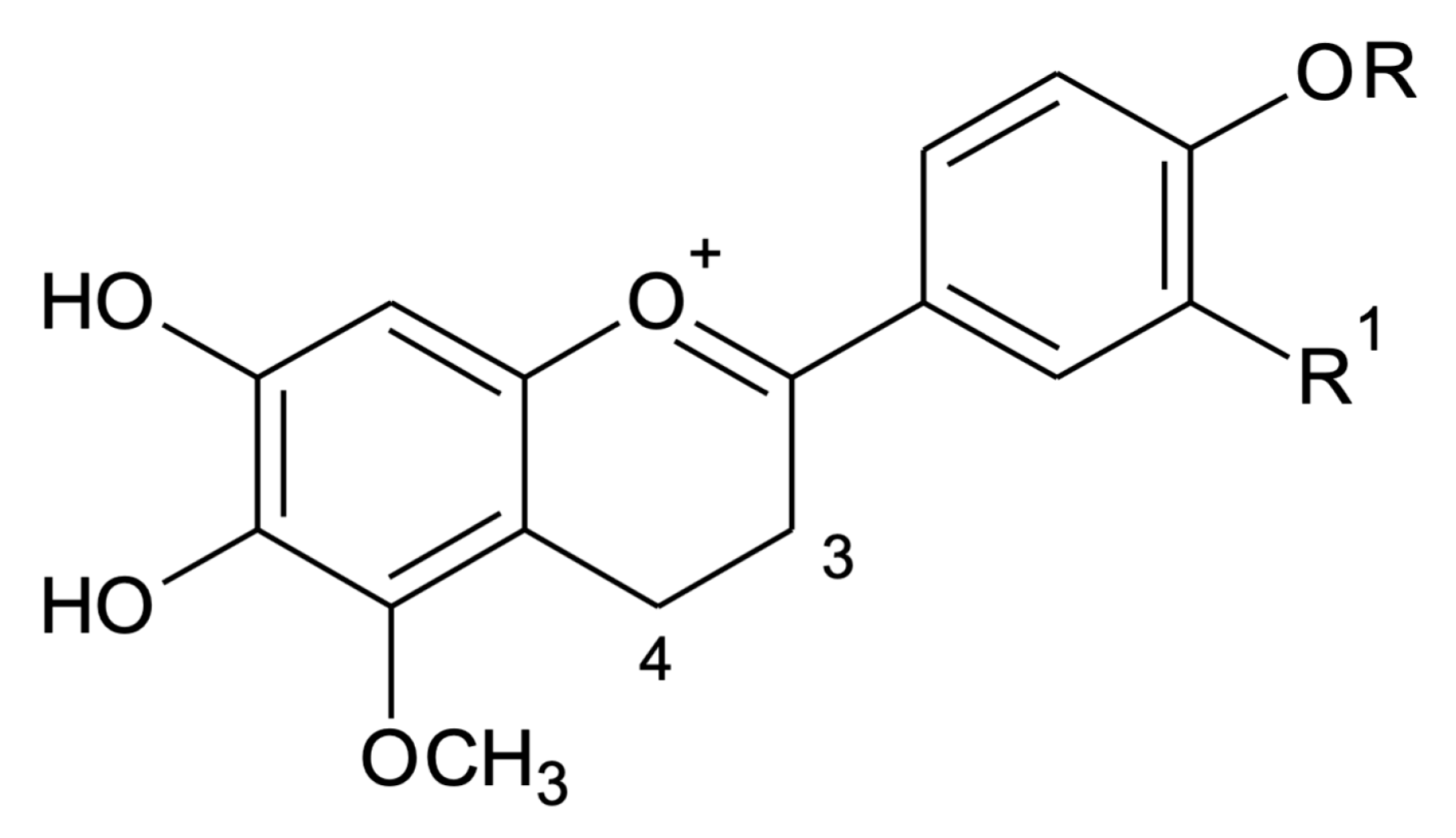 Molecules 25 03547 g003