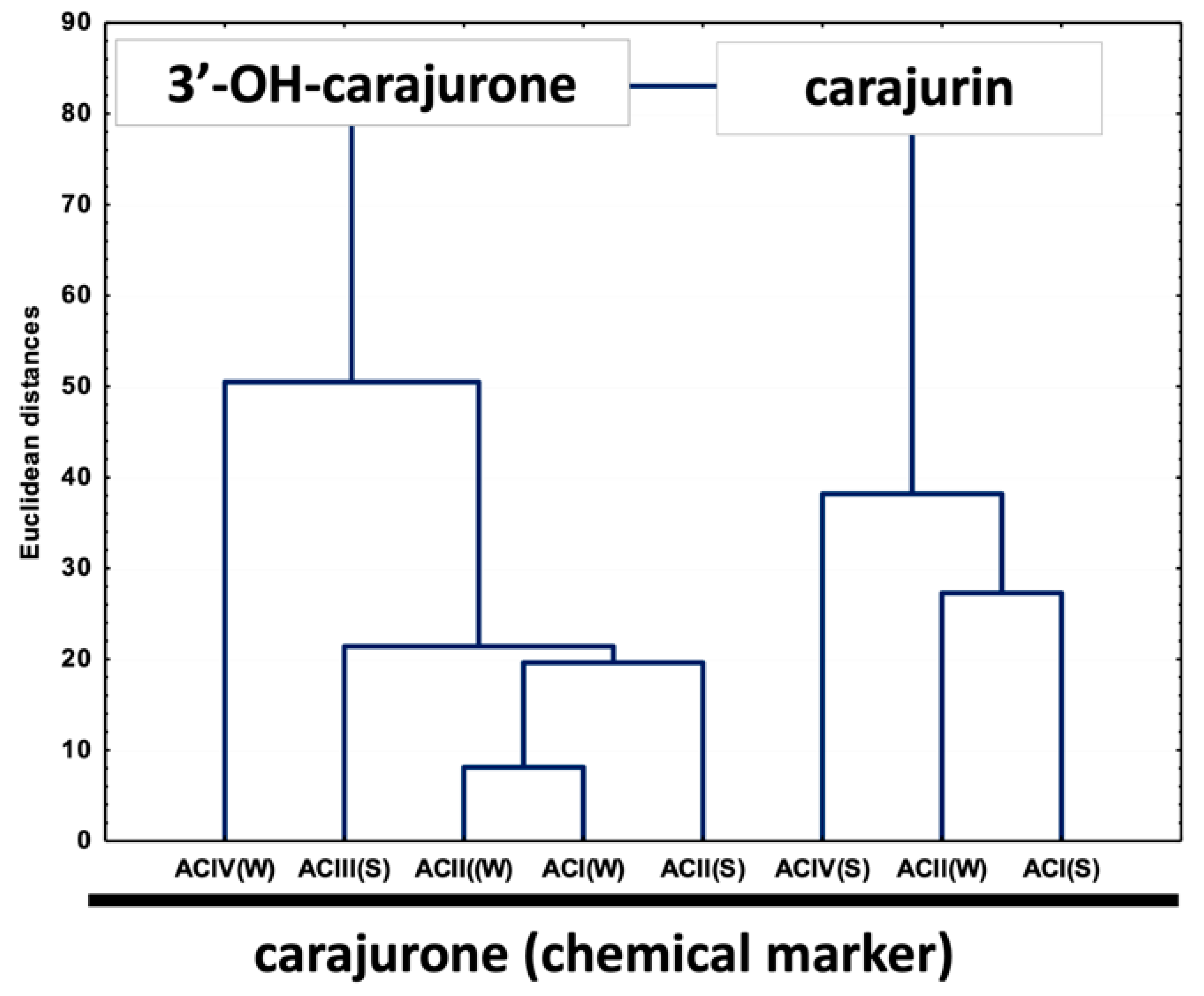 Molecules 25 03547 g004