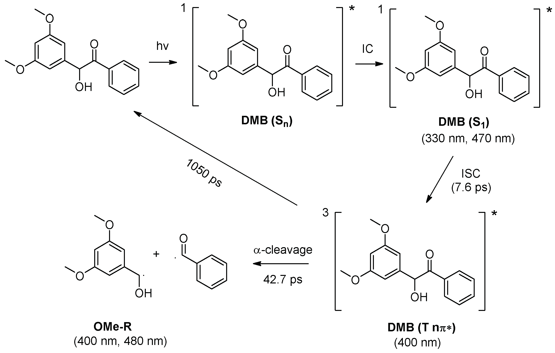 Molecules 25 03548 sch002
