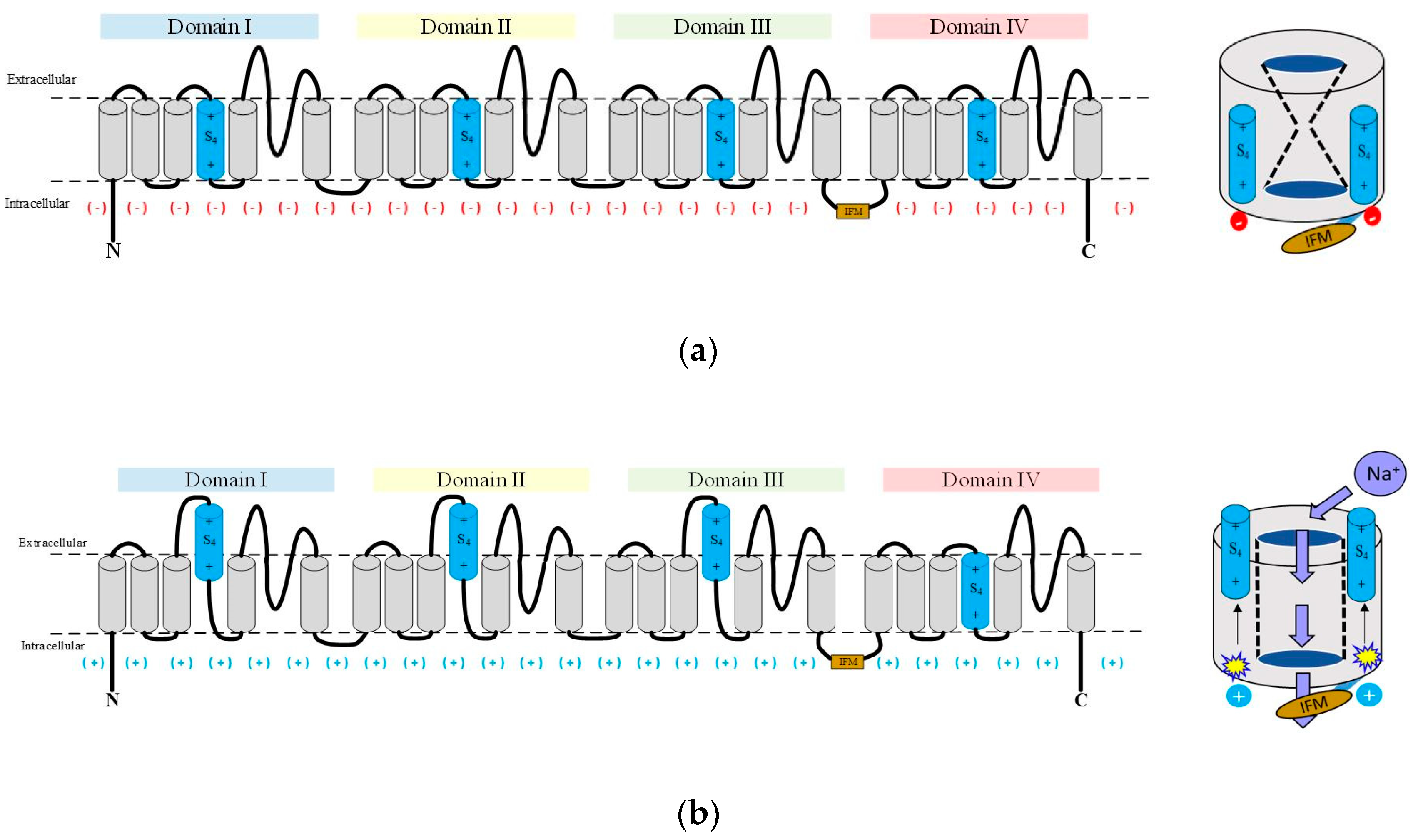 Molecules 25 03551 g001a