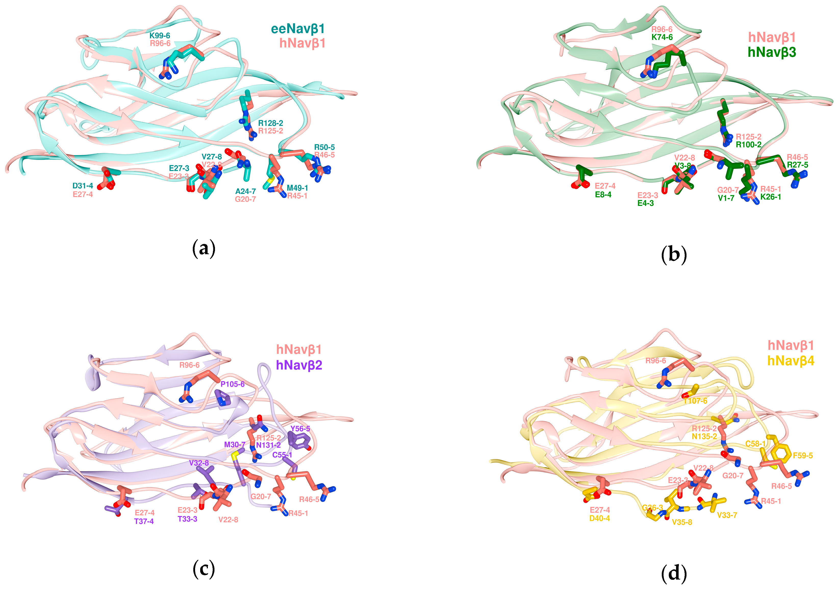 Molecules 25 03551 g004