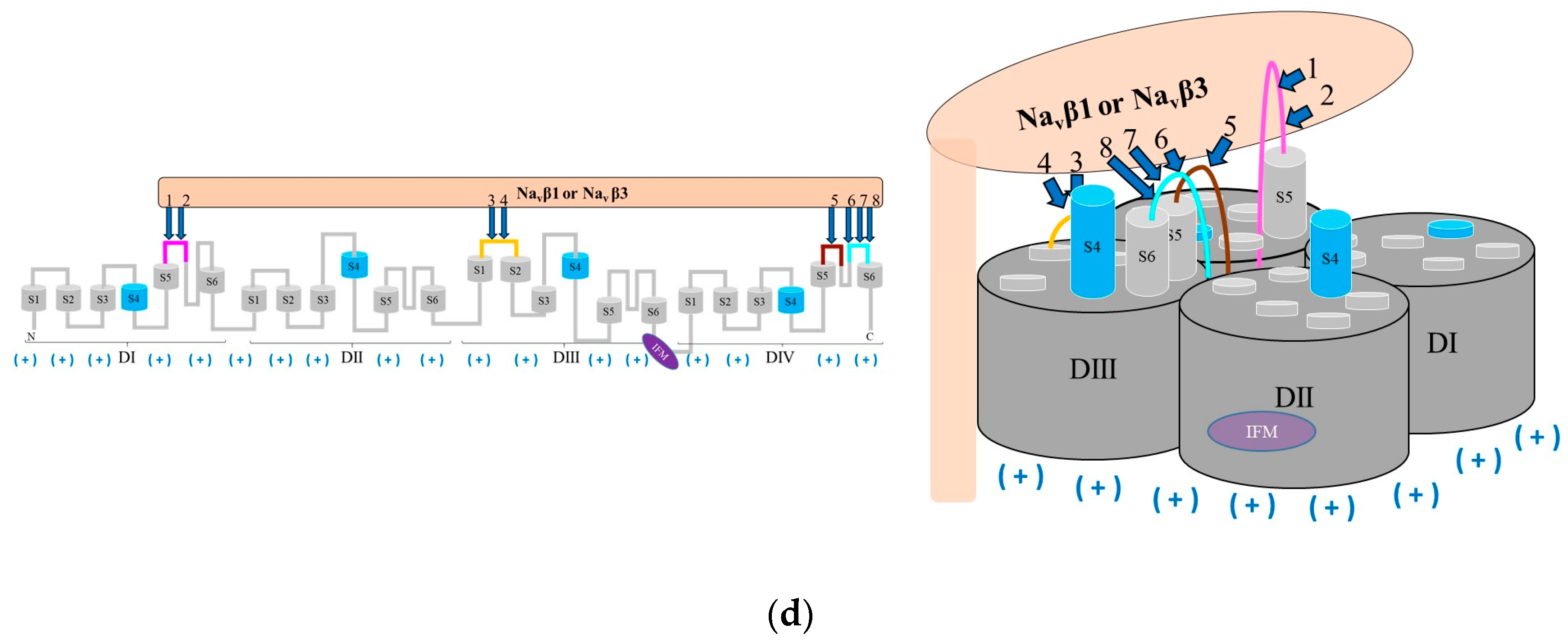 Molecules 25 03551 g006b