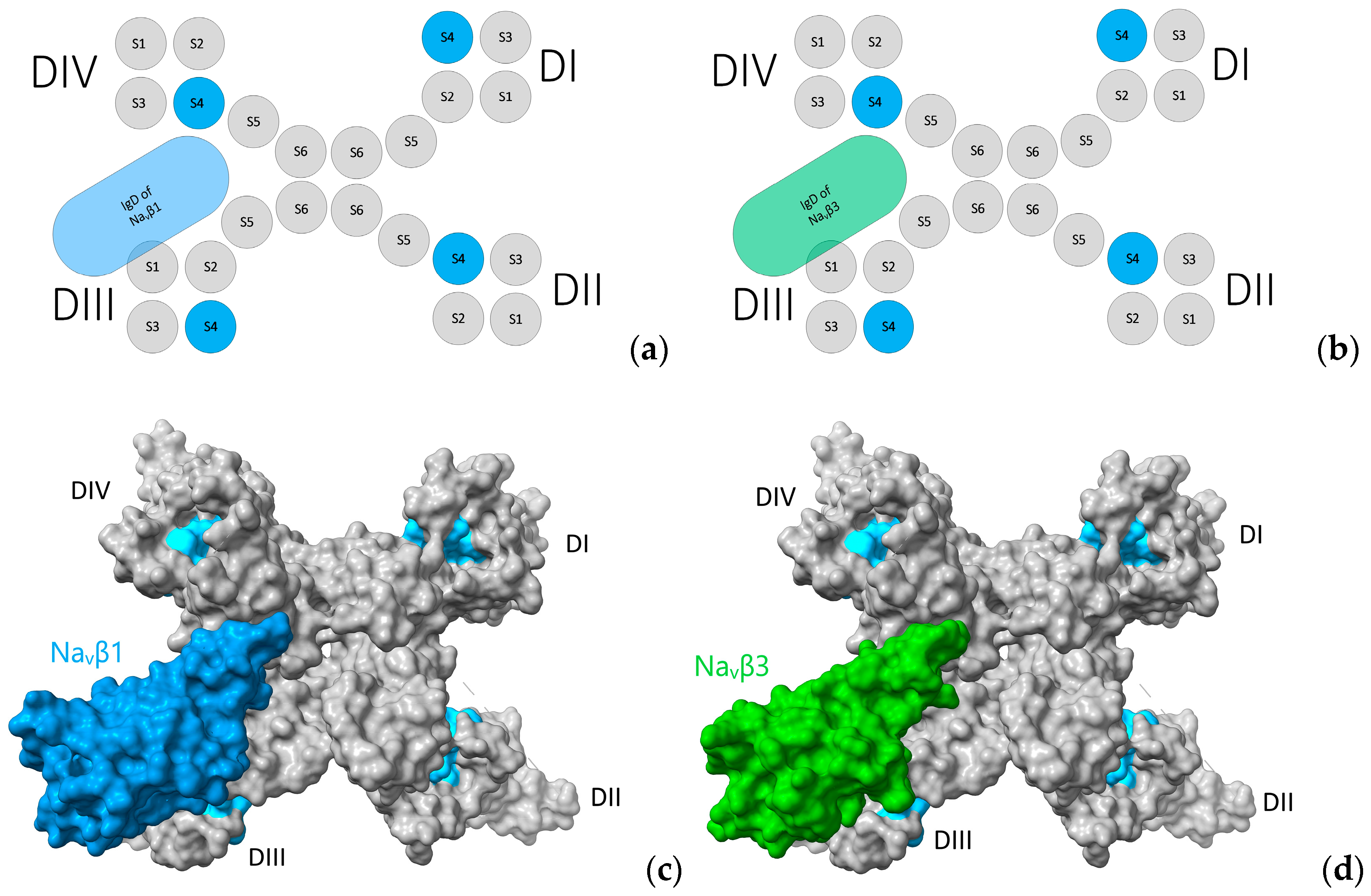 Molecules 25 03551 g009