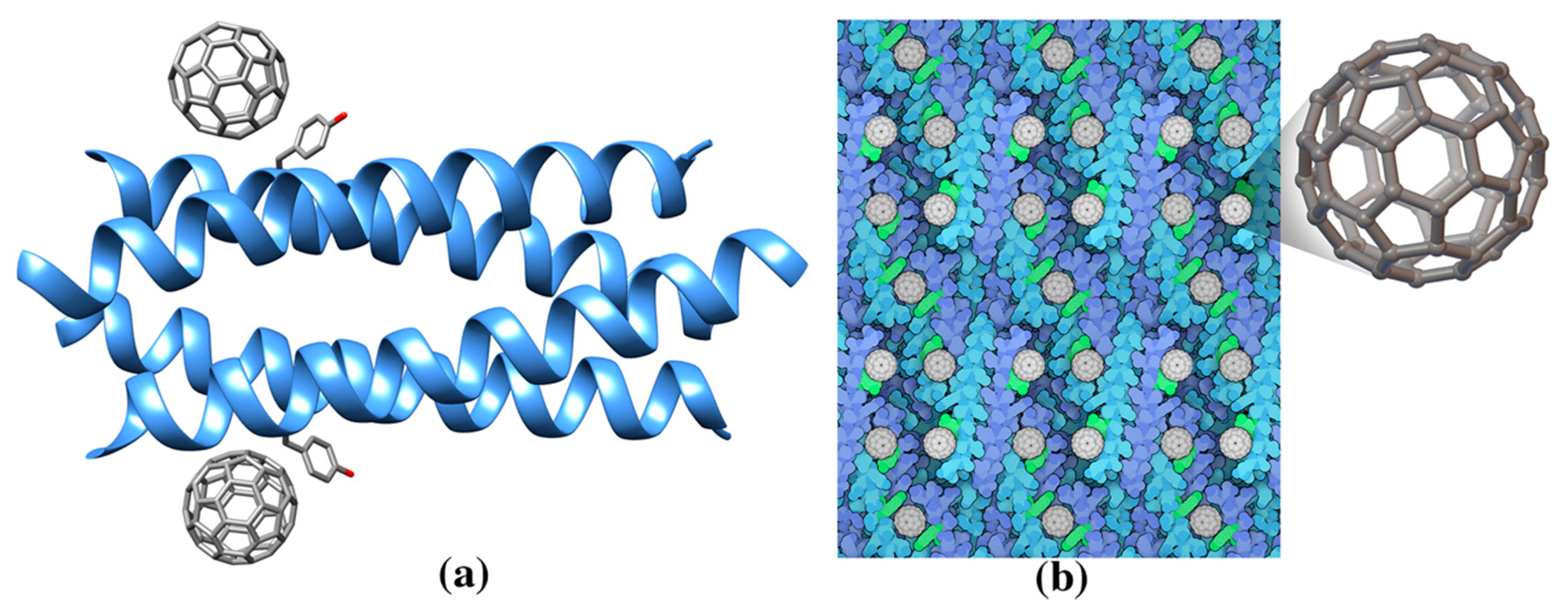 Molecules 25 03555 g002