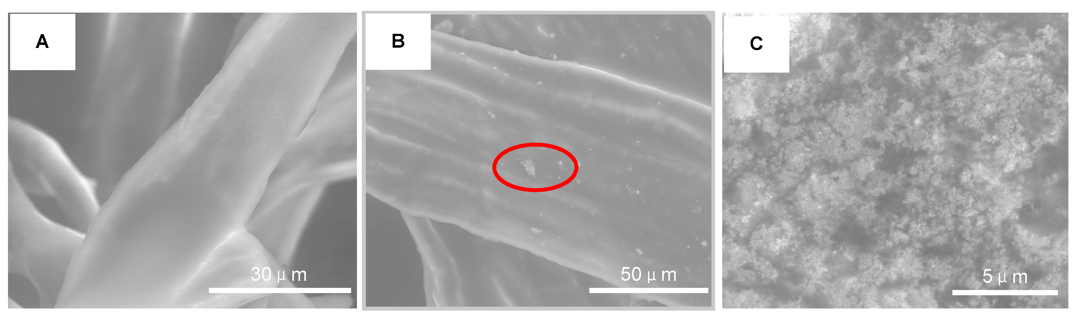 Molecules 25 03566 g010 Molecules 25 03566 g010