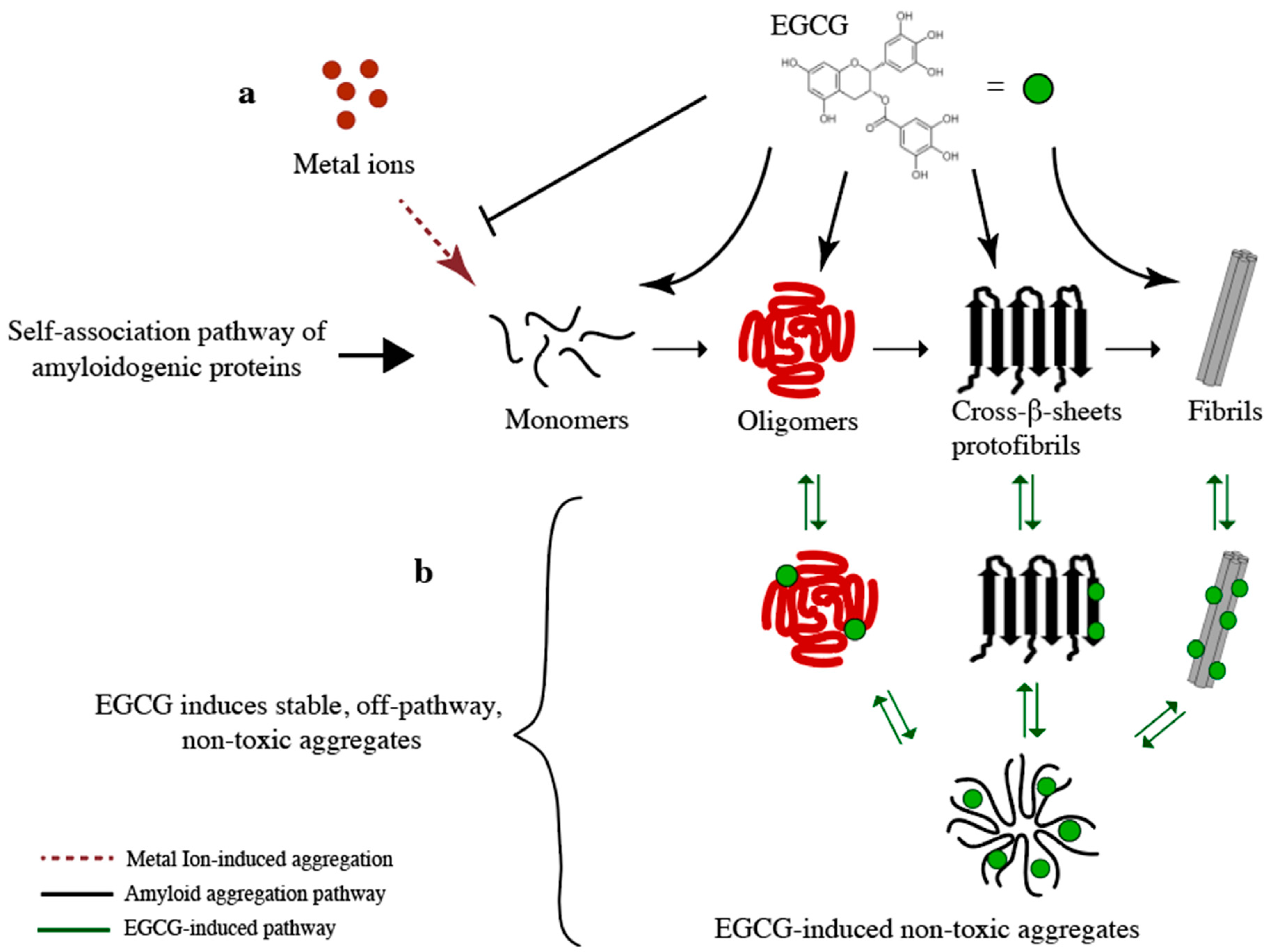 Molecules 25 03571 g003 Molecules 25 03571 g003