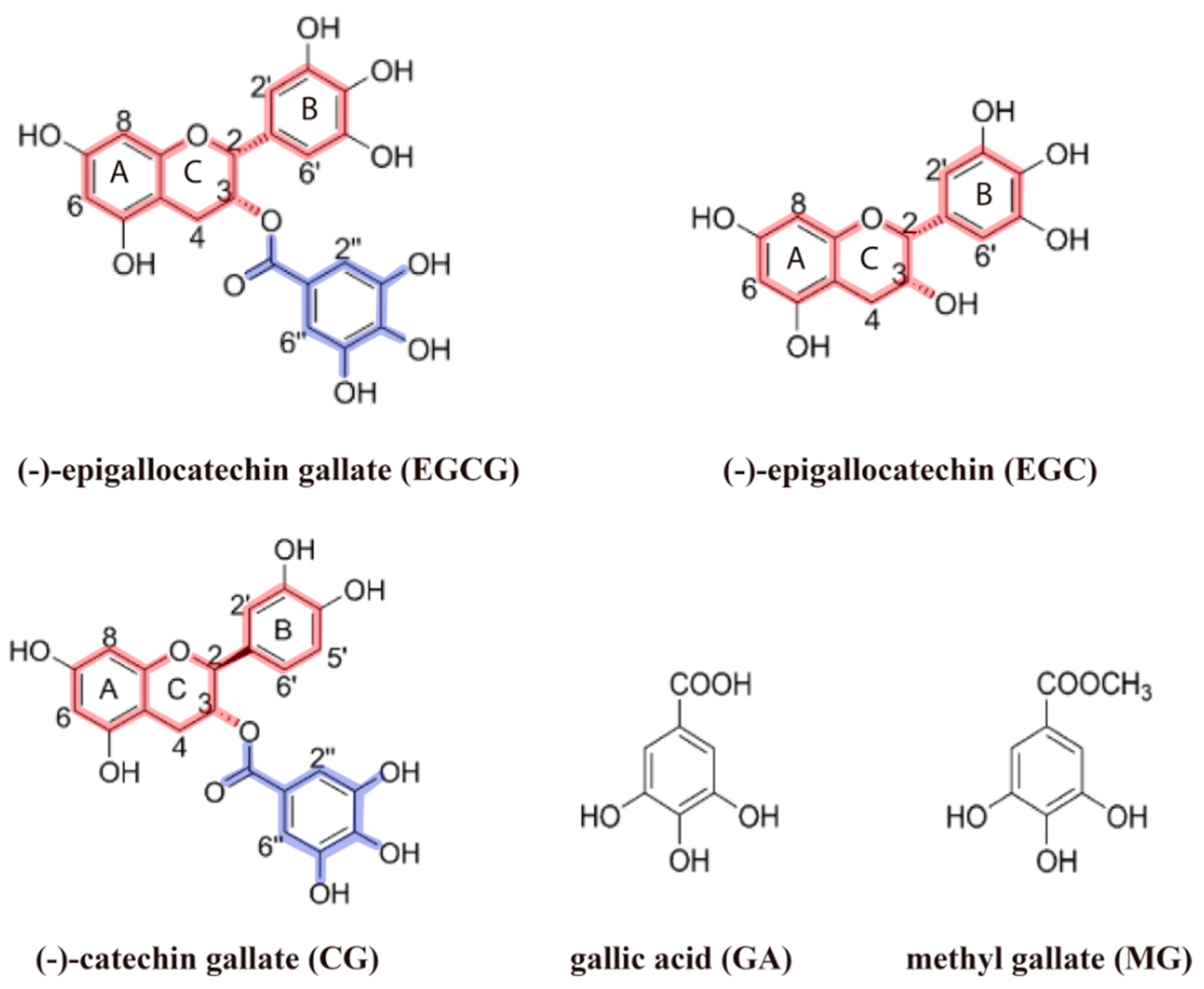 Molecules 25 03571 g004 Molecules 25 03571 g004