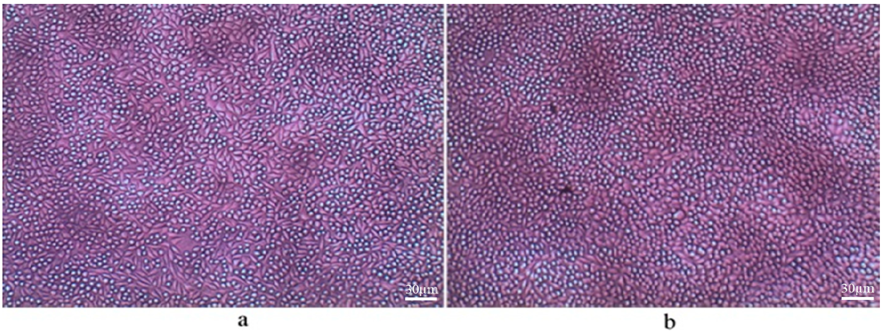 Molecules 25 03572 g002 Molecules 25 03572 g002