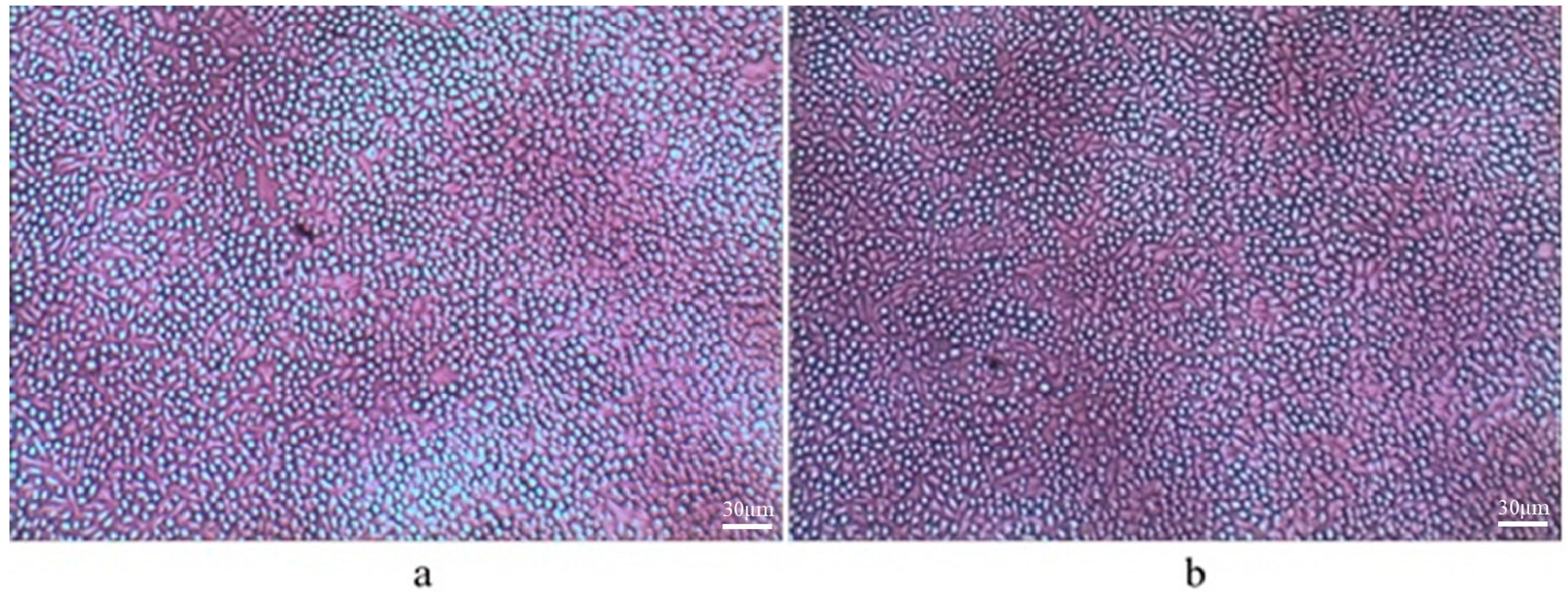 Molecules 25 03572 g003 Molecules 25 03572 g003