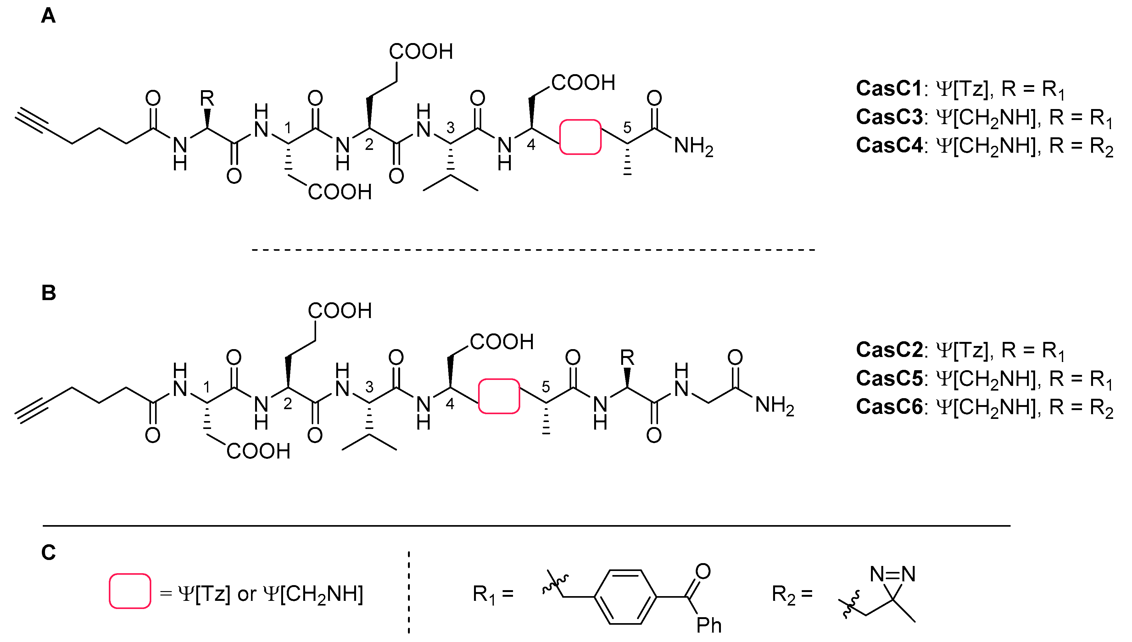 Molecules 25 03576 g008 Molecules 25 03576 g008