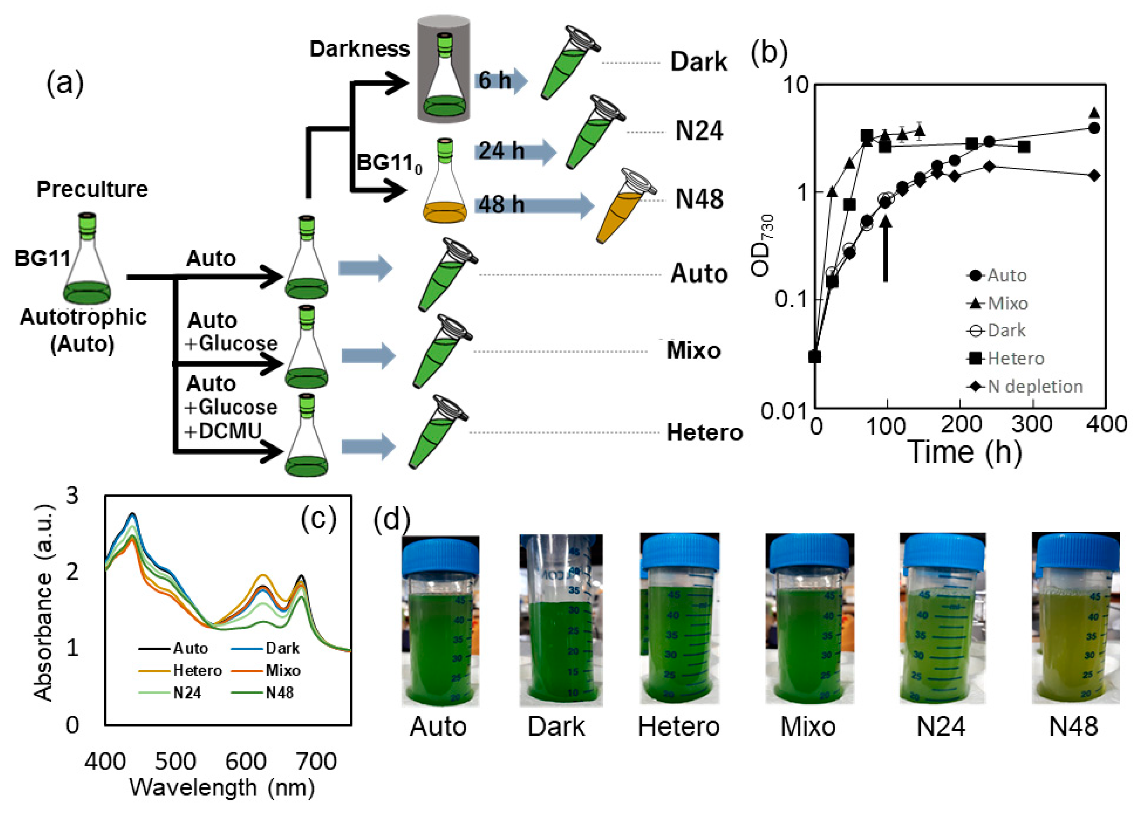Molecules 25 03582 g001