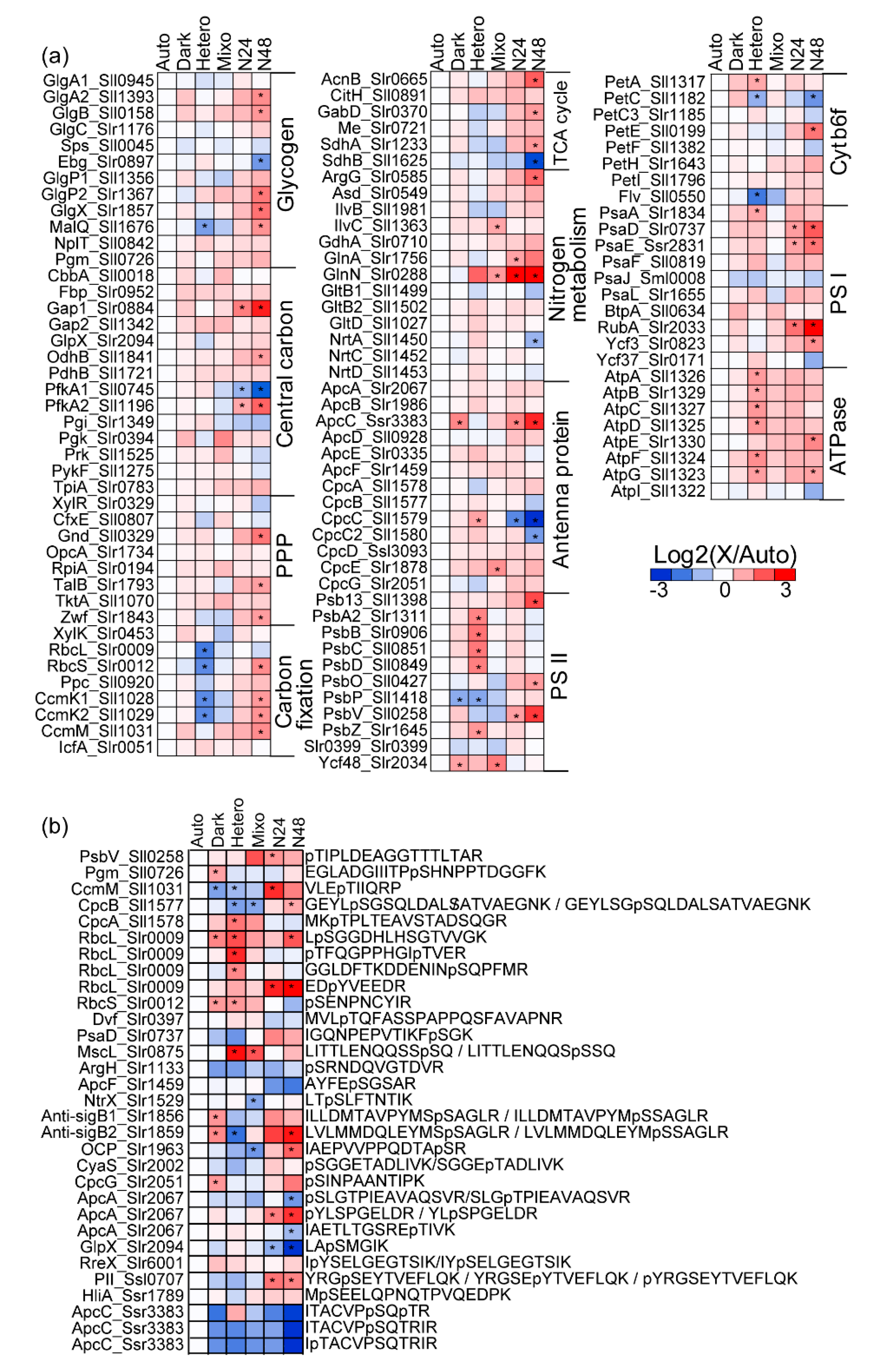 Molecules 25 03582 g002