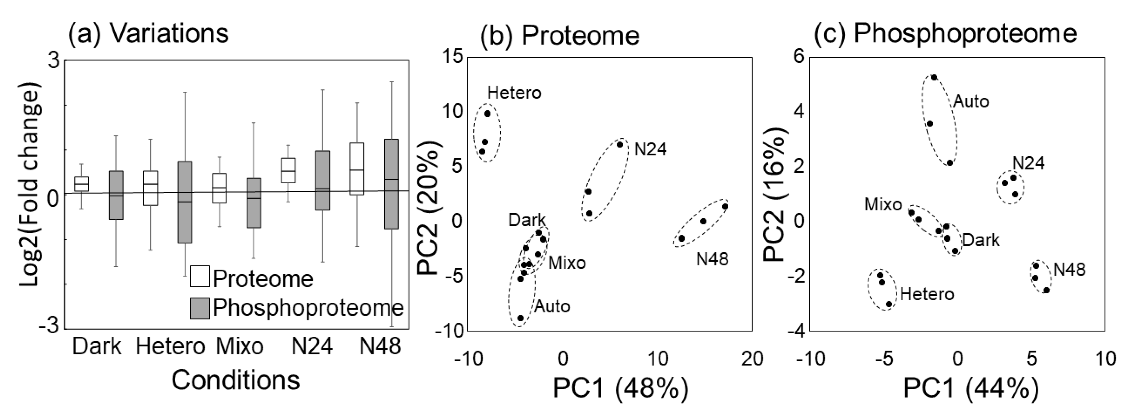 Molecules 25 03582 g003