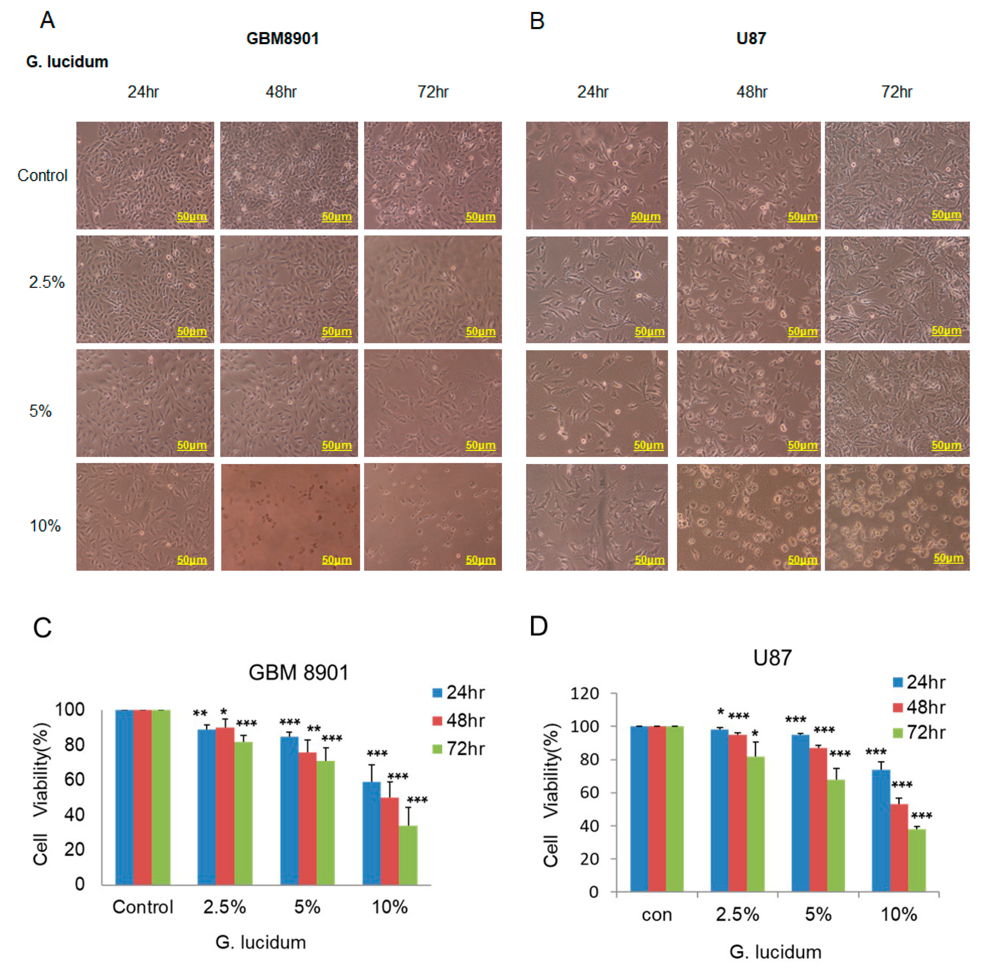 Molecules 25 03585 g001 Molecules 25 03585 g001