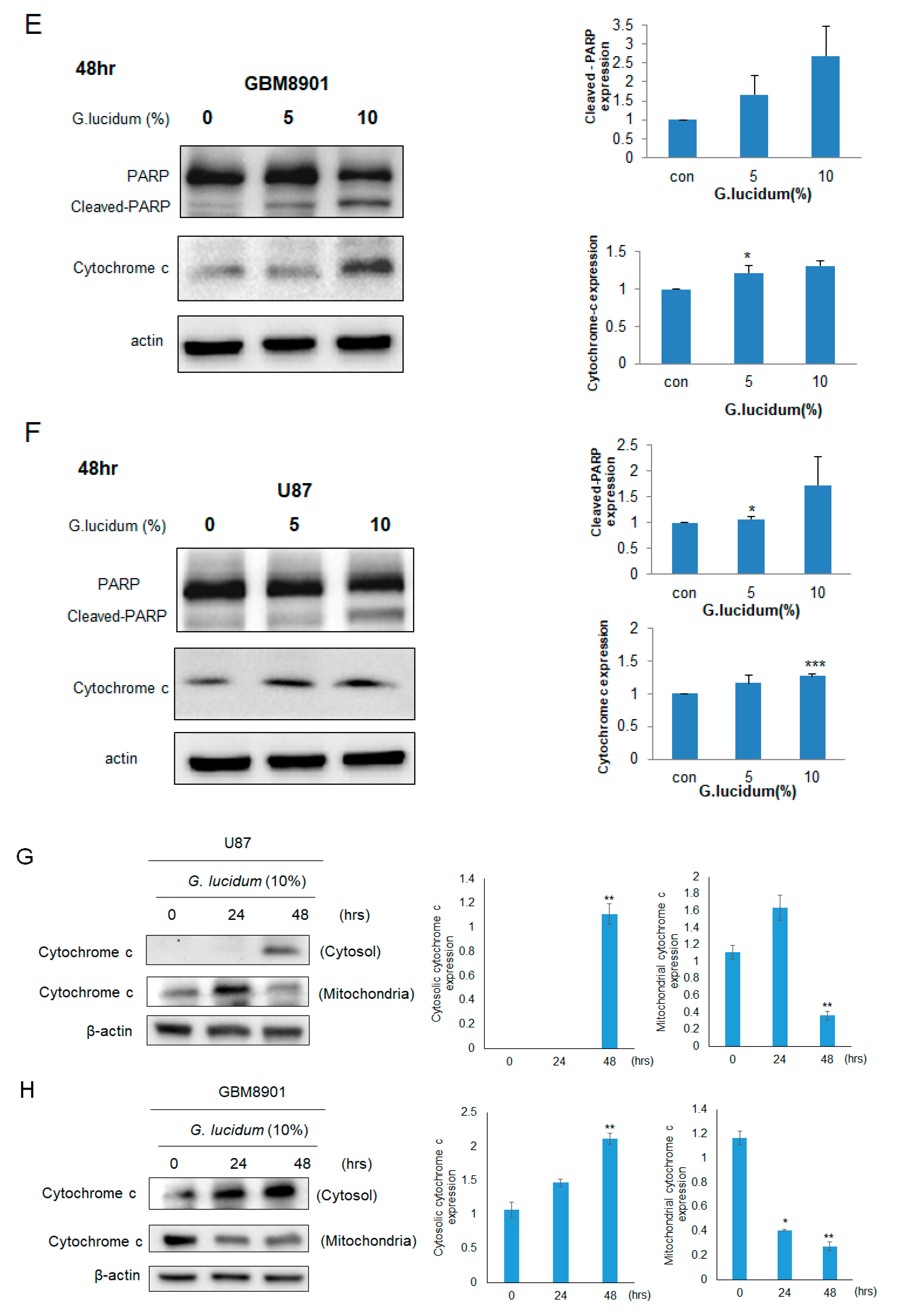 Molecules 25 03585 g002b Molecules 25 03585 g002b