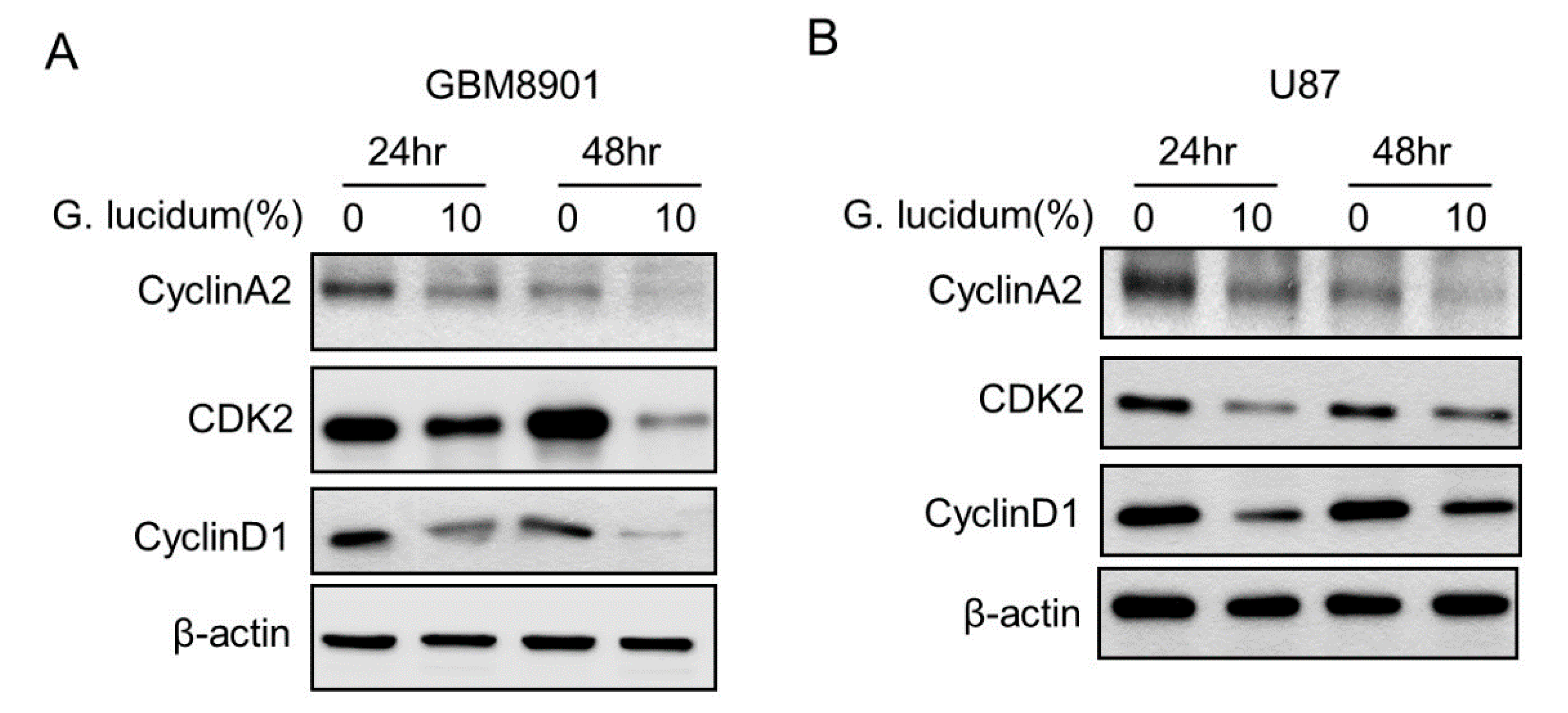 Molecules 25 03585 g004a Molecules 25 03585 g004a