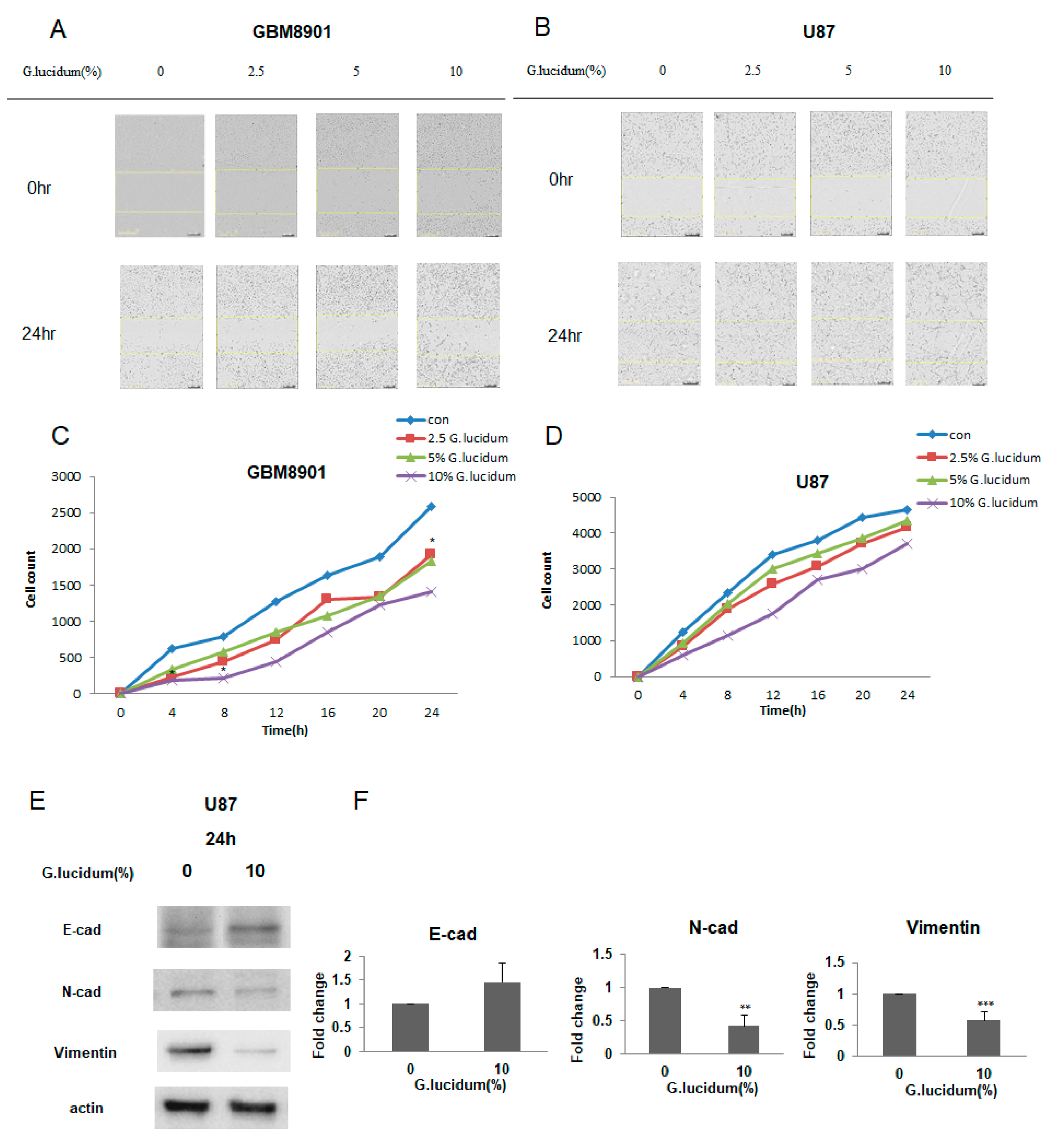 Molecules 25 03585 g005 Molecules 25 03585 g005