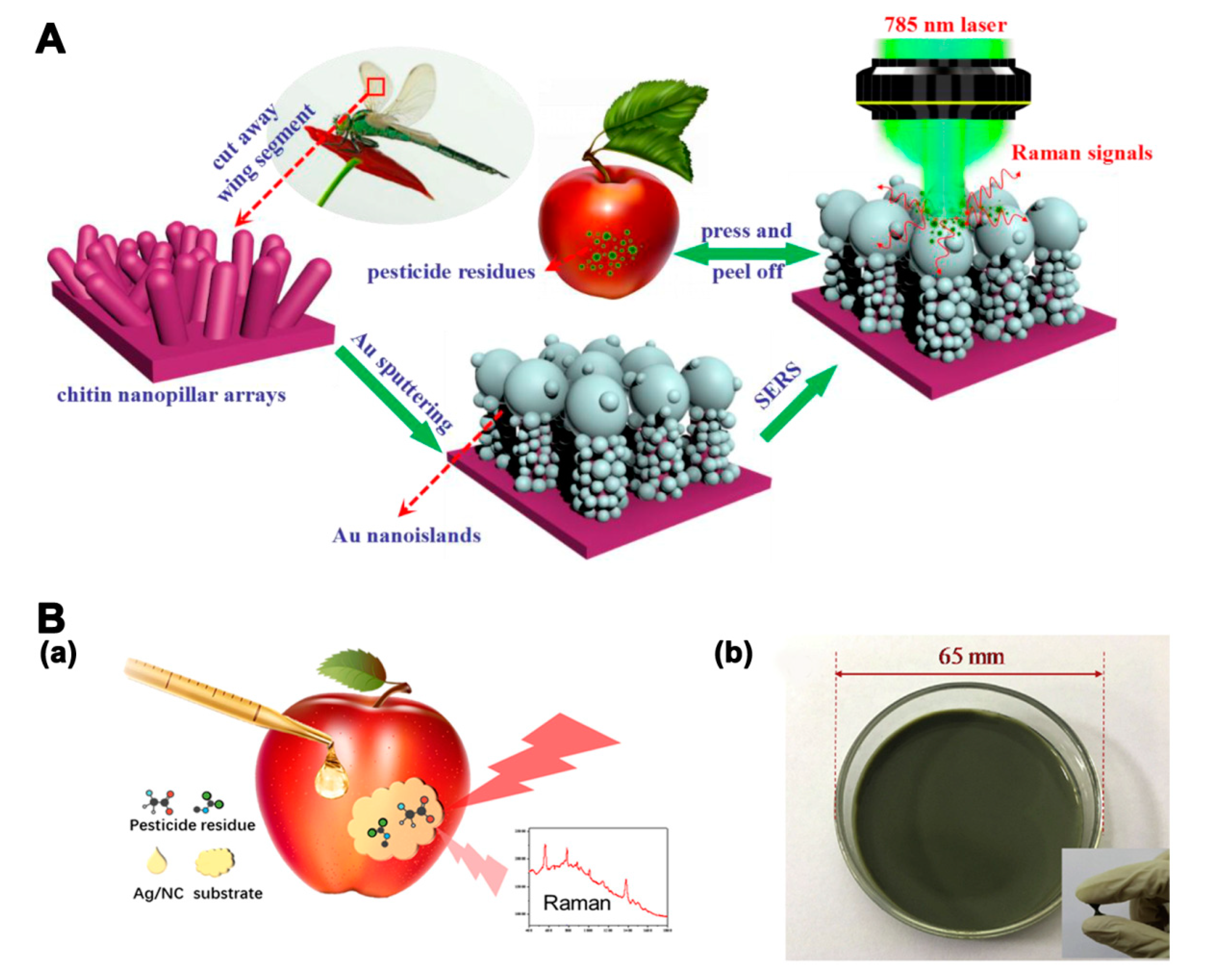 Molecules 25 03590 g006
