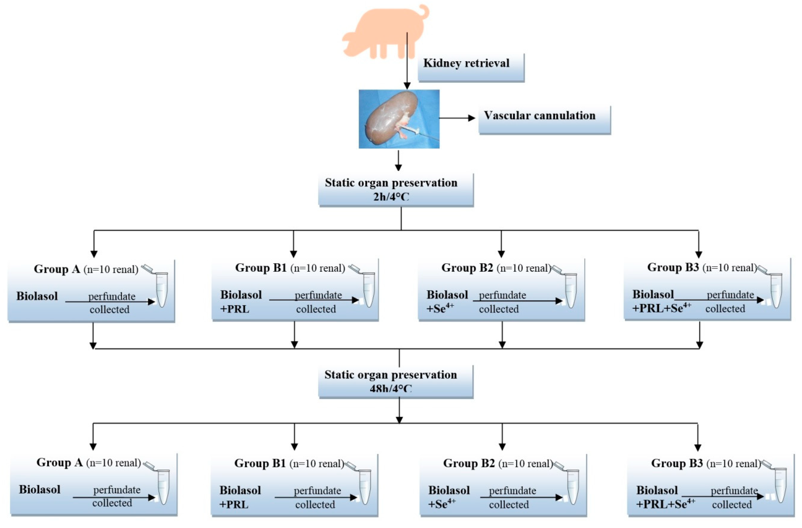 Molecules 25 03592 g006 Molecules 25 03592 g006