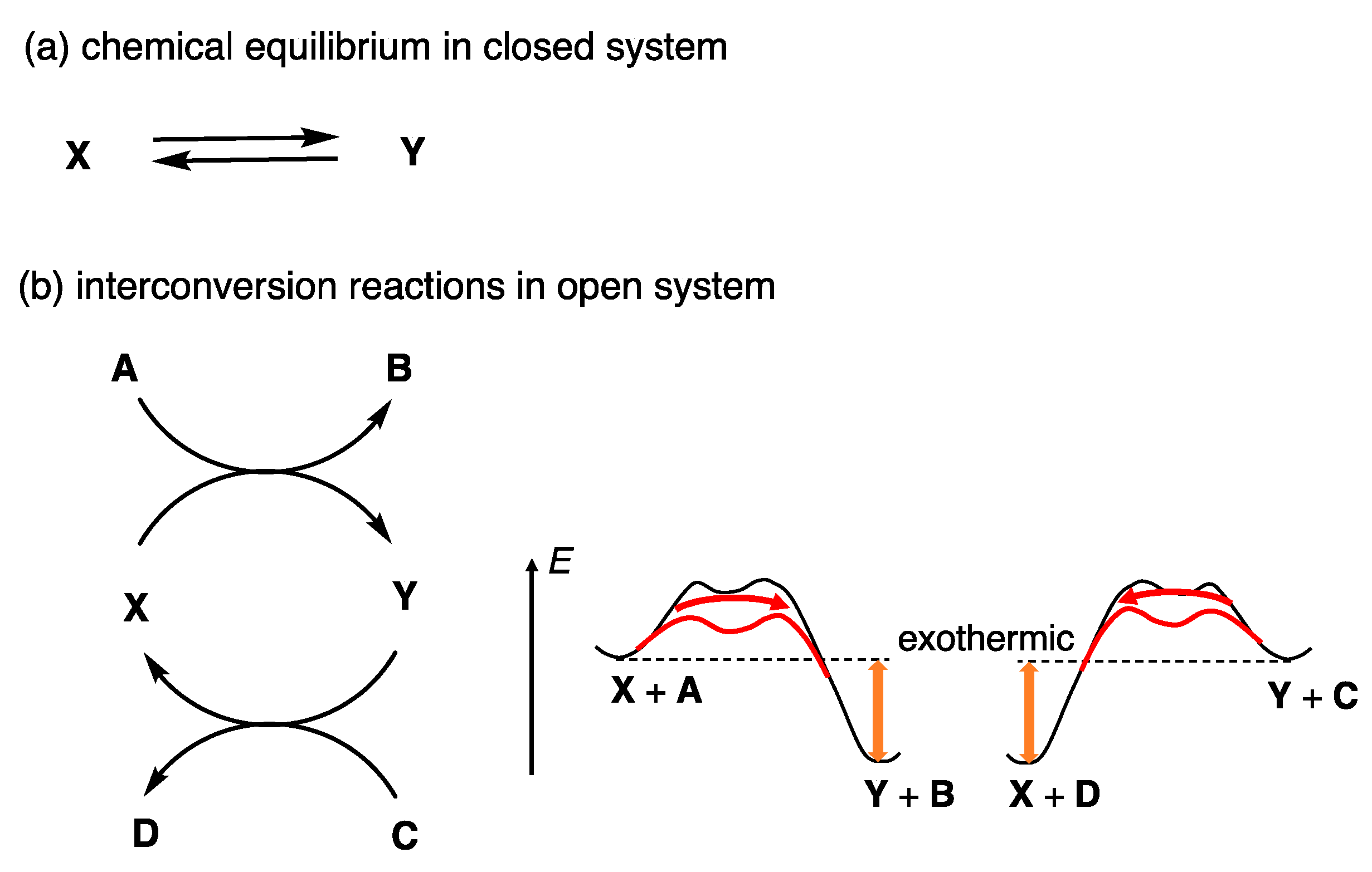 Molecules 25 03595 g004