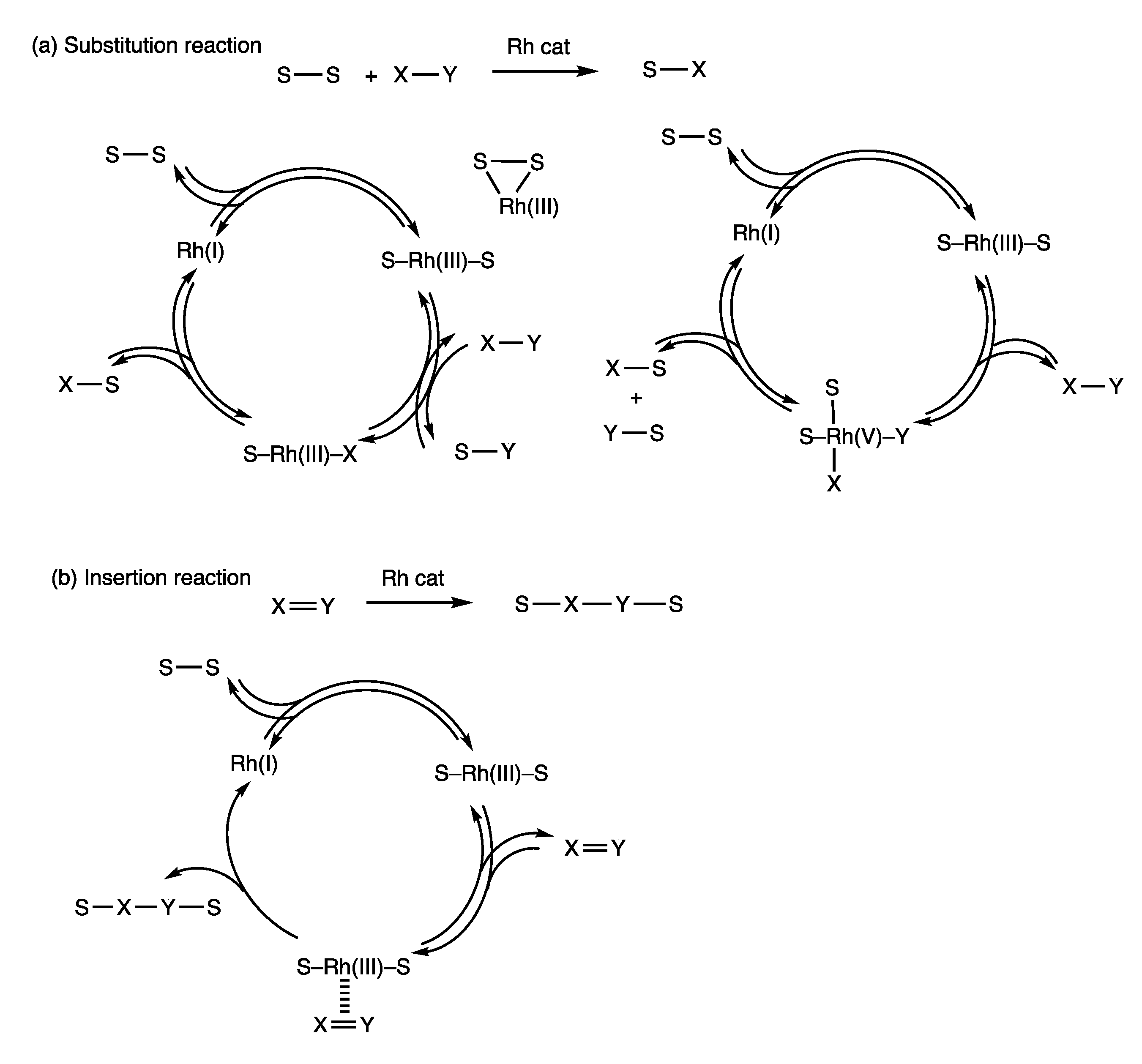 Molecules 25 03595 g007