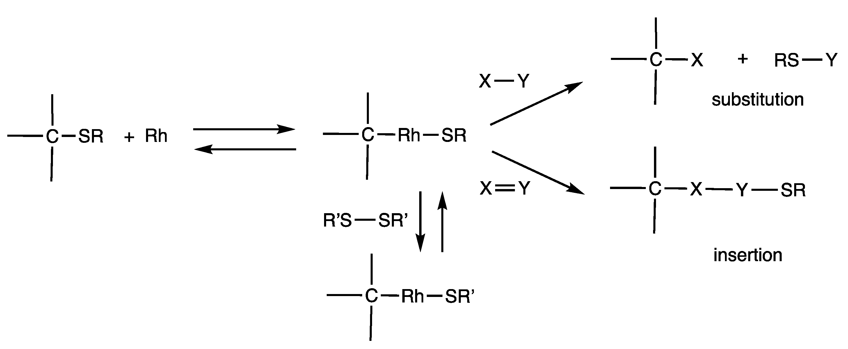 Molecules 25 03595 sch029