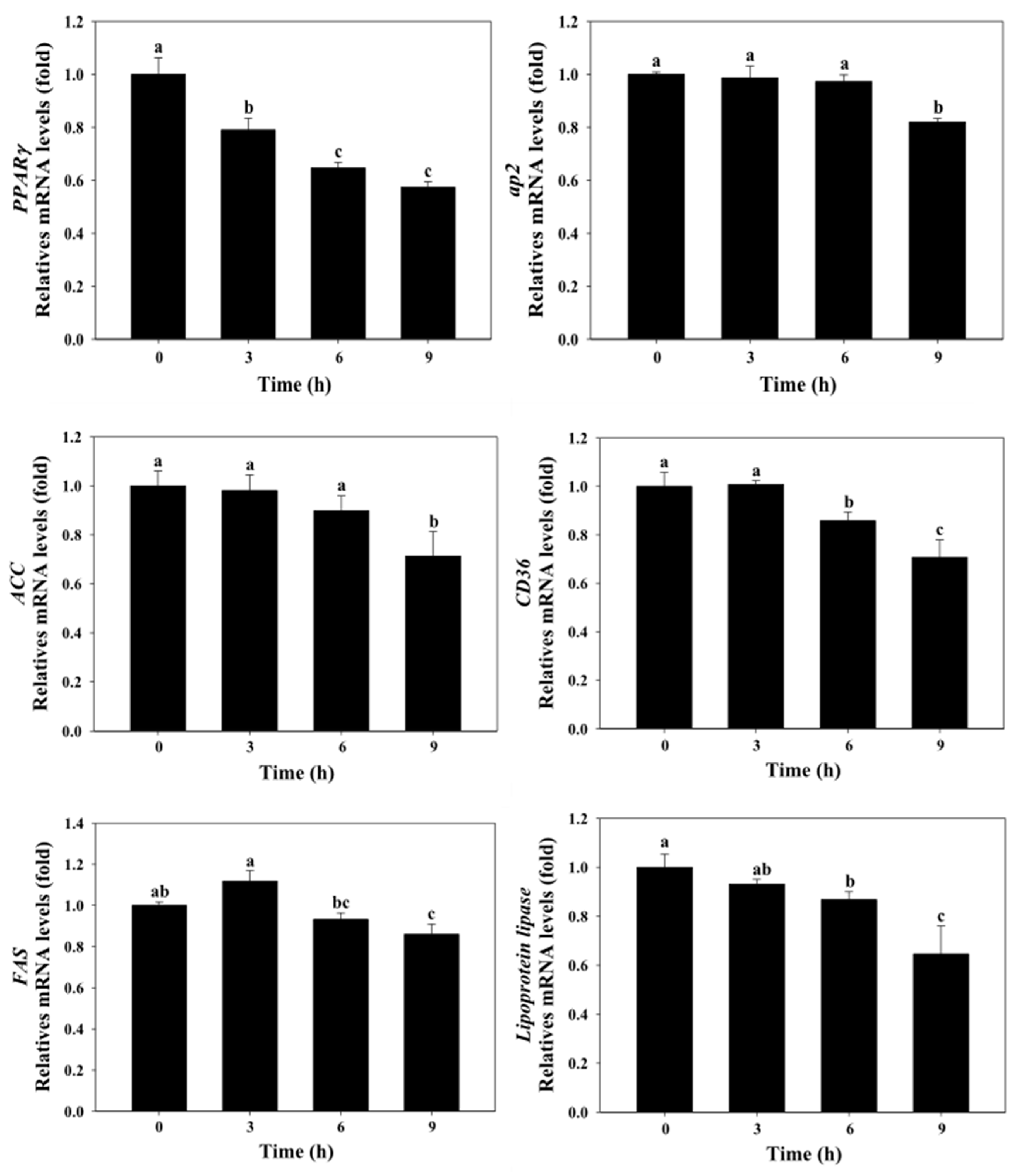 Molecules 25 03598 g005