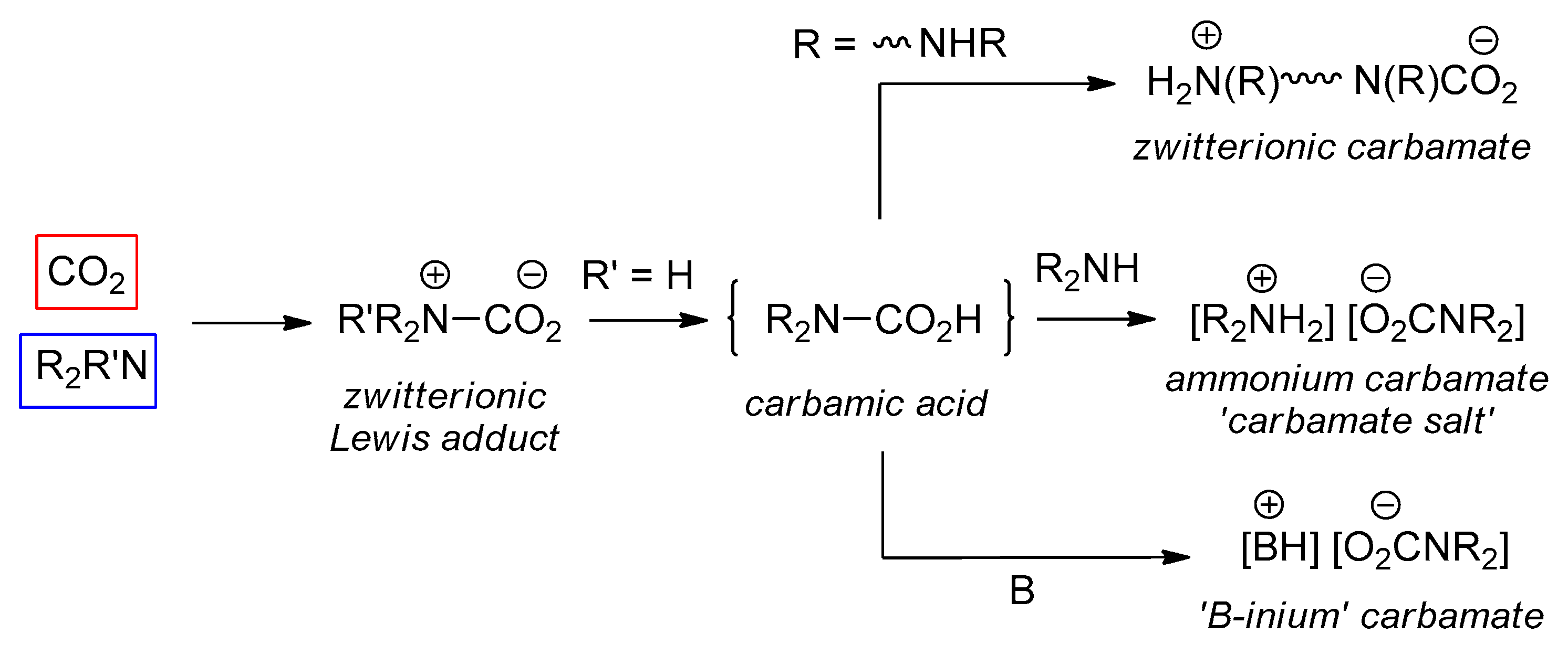 Molecules 25 03603 sch001