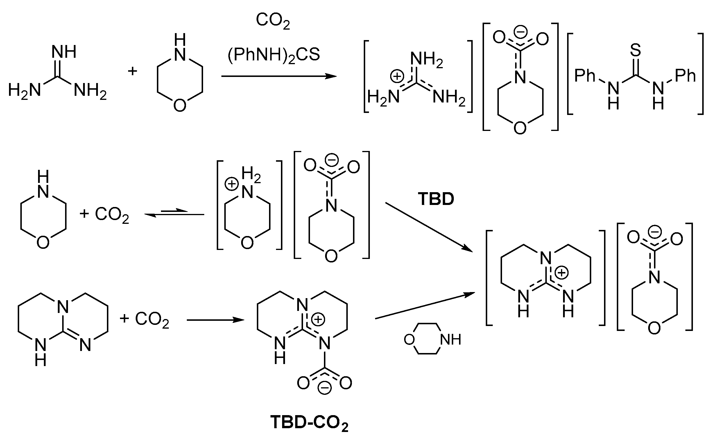 Molecules 25 03603 sch010