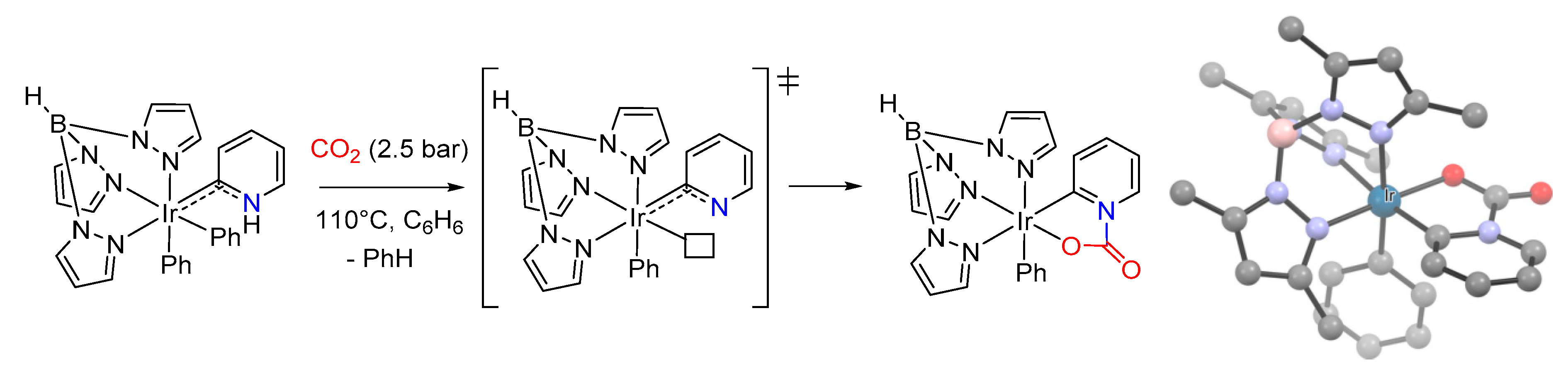 Molecules 25 03603 sch027