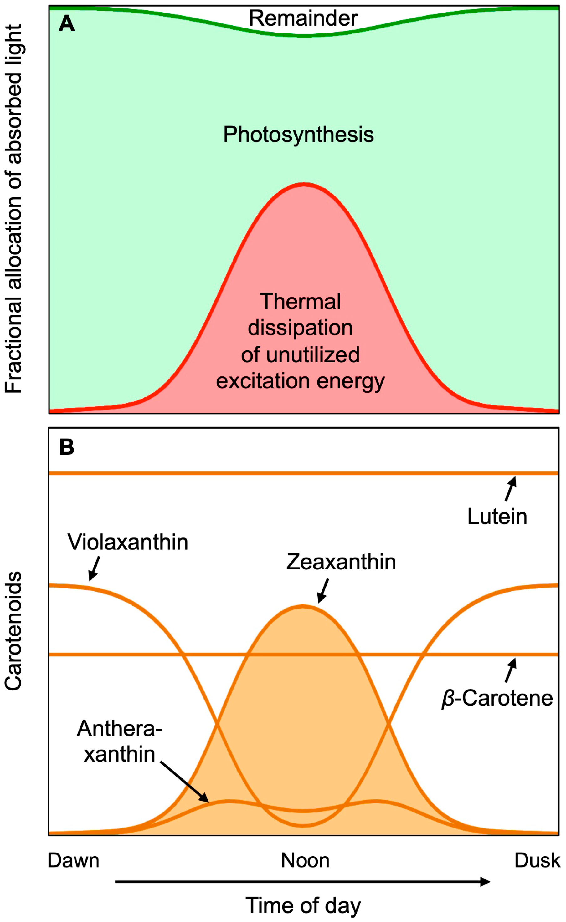 Molecules 25 03607 g003