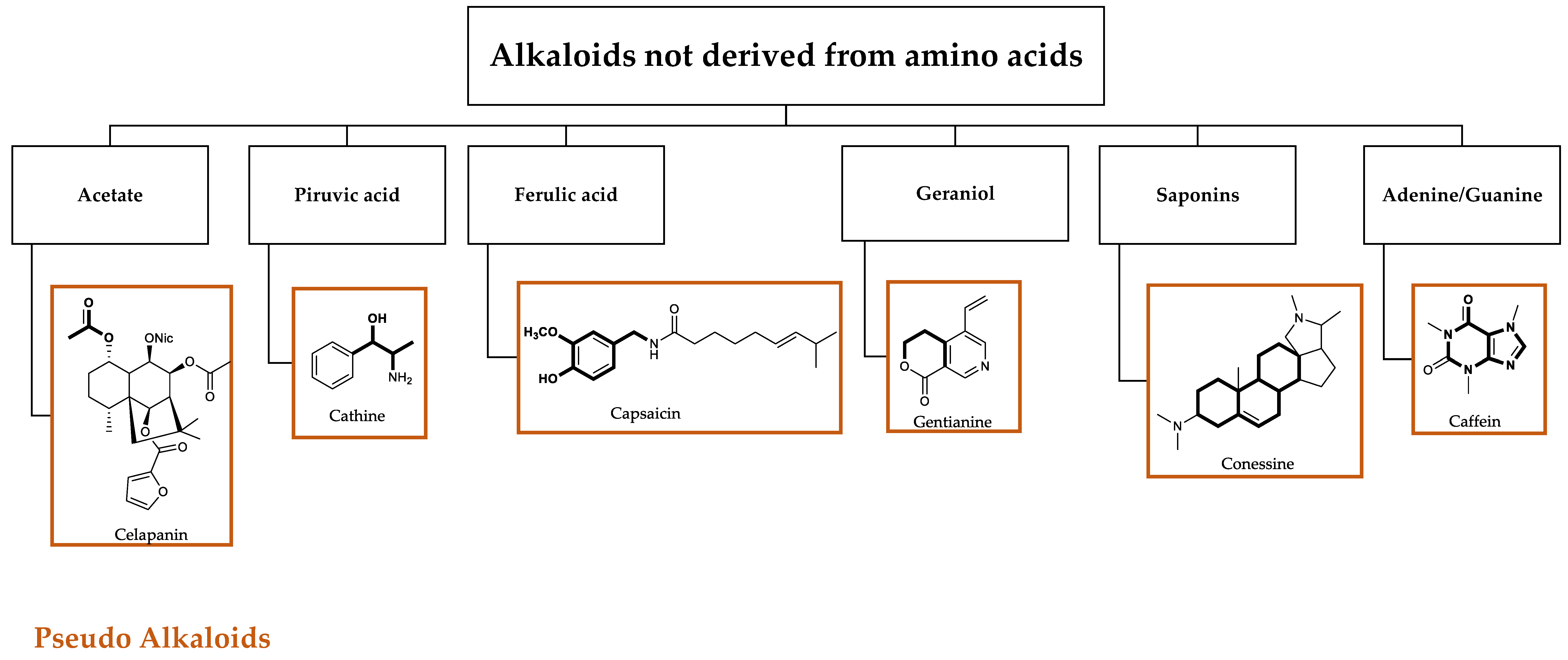 Molecules 25 03619 g002