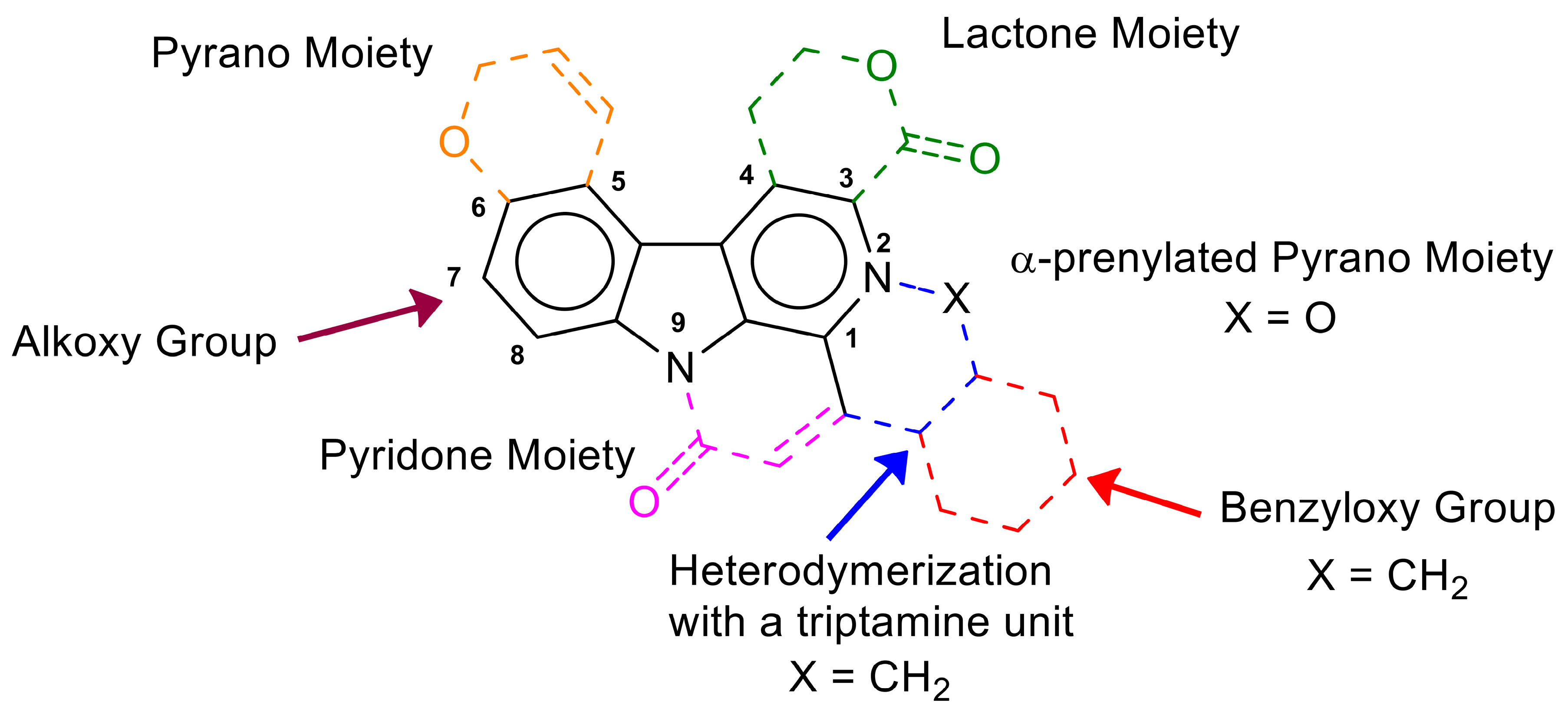 Molecules 25 03619 g003