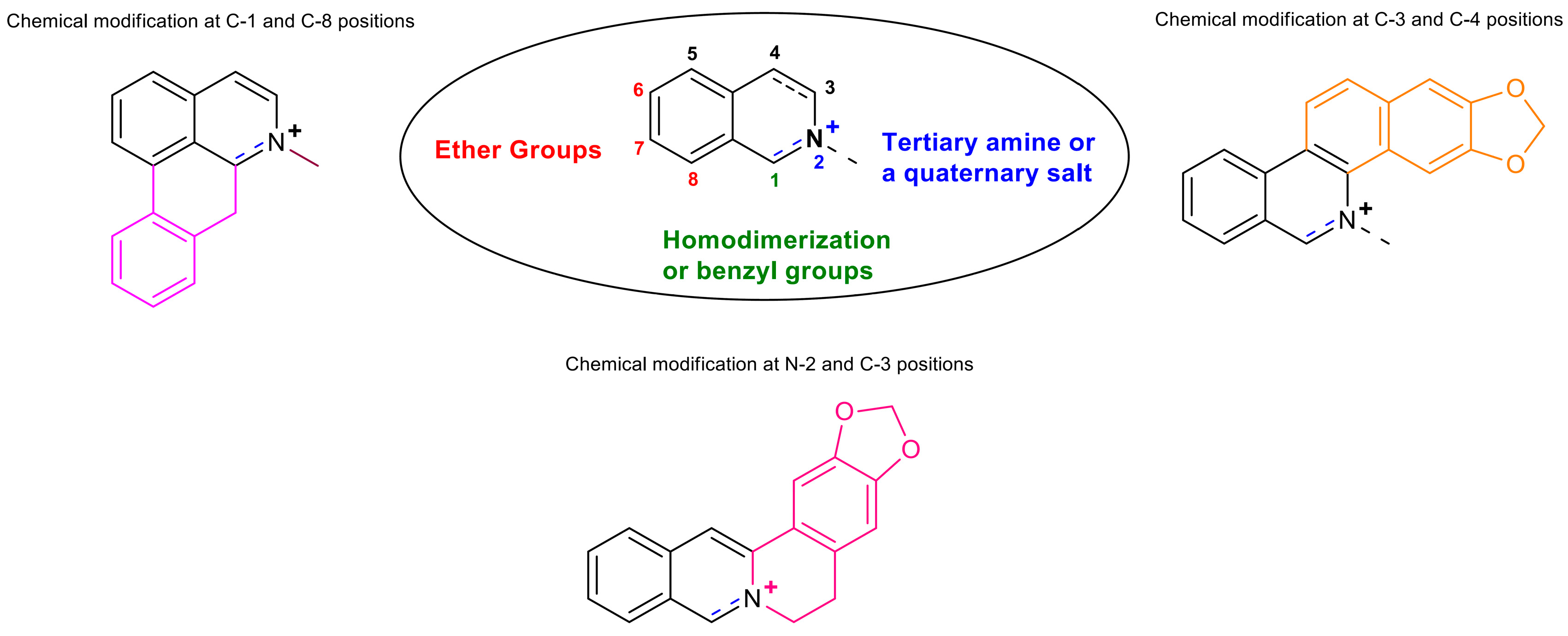 Molecules 25 03619 g004
