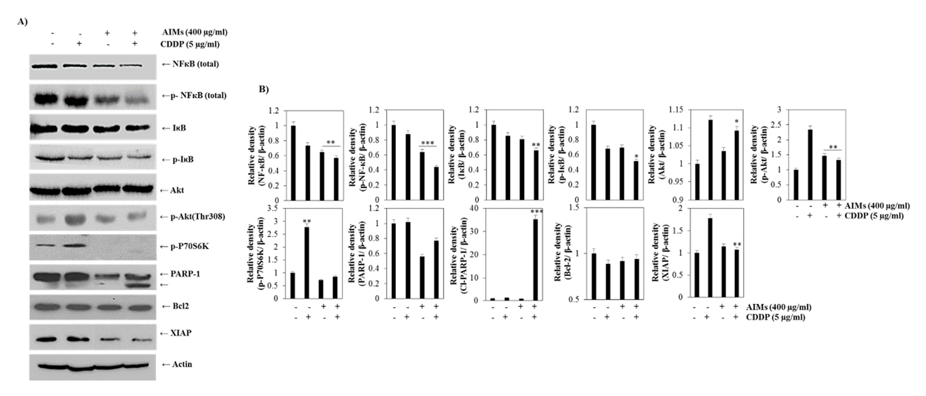 Molecules 25 03623 g004 Molecules 25 03623 g004