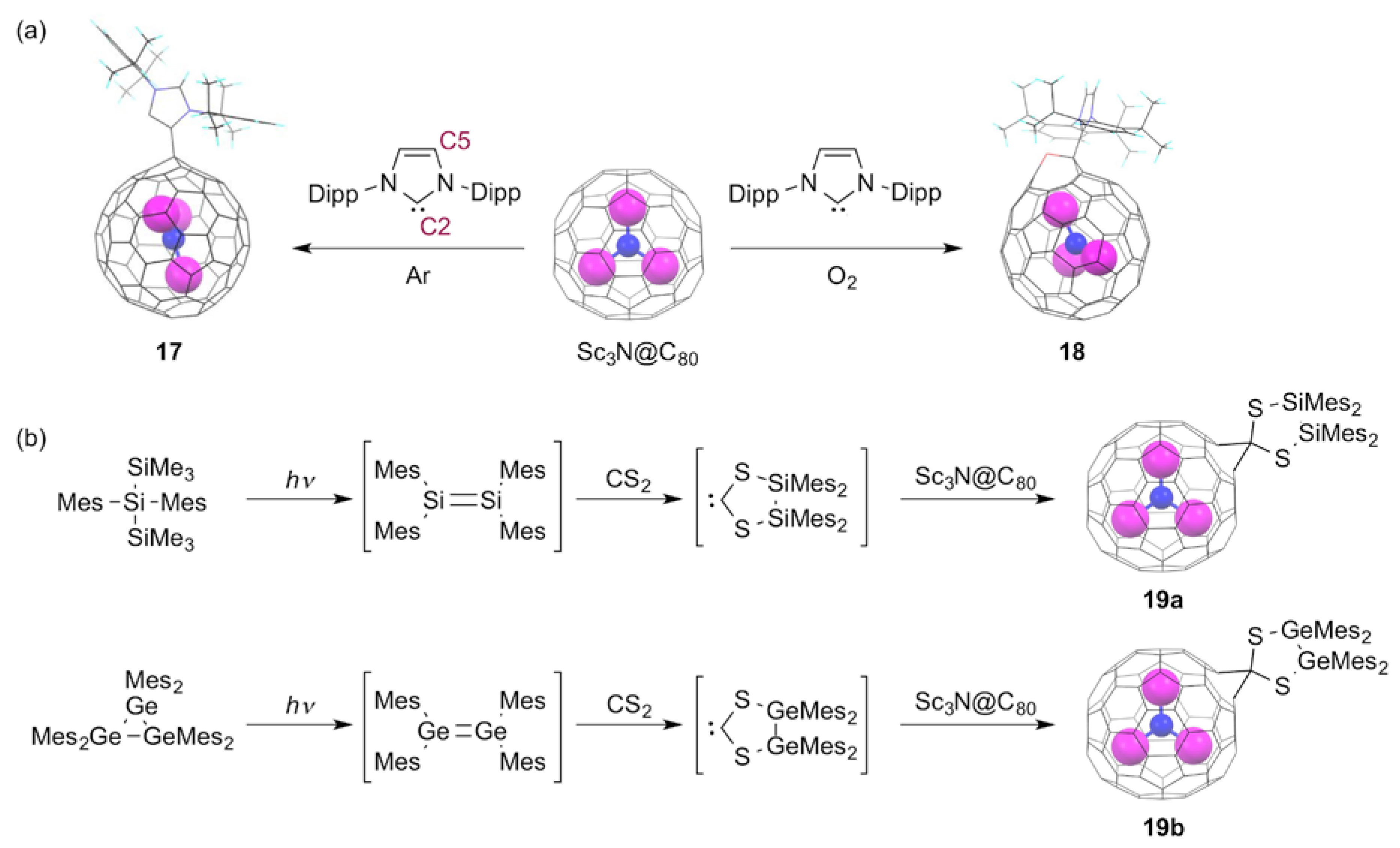 Molecules 25 03626 g006