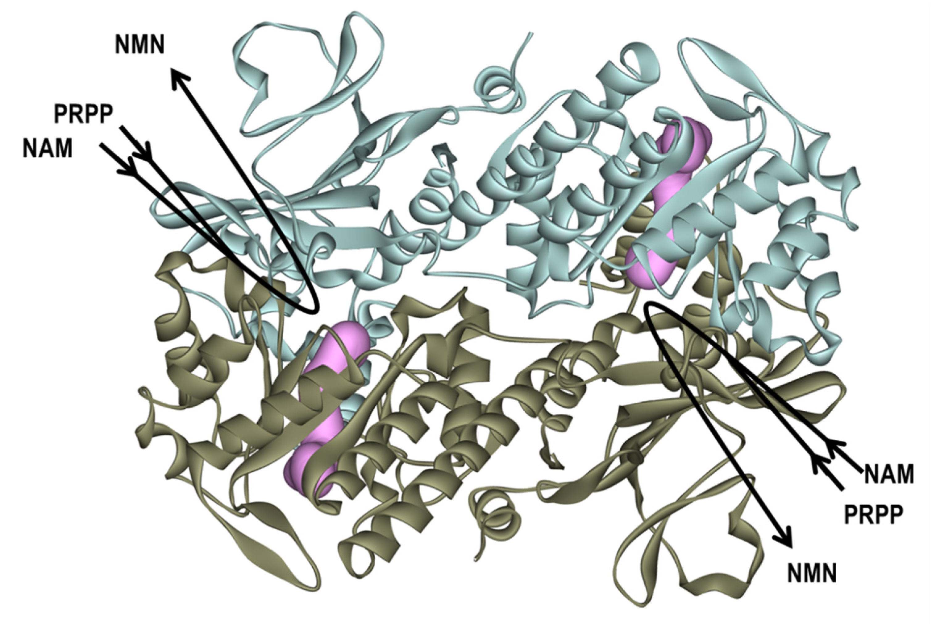 Molecules 25 03633 g001